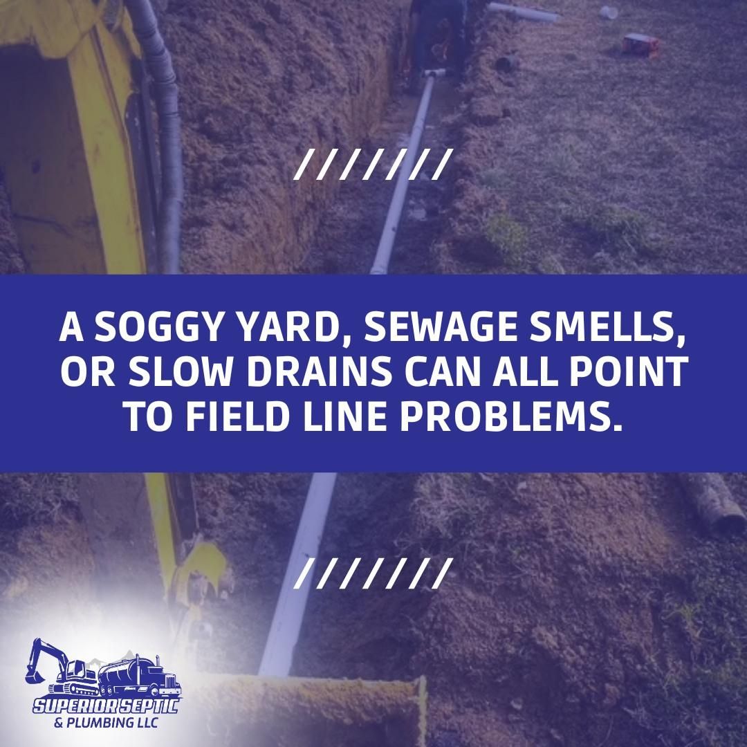  for Superior Septic & Plumbing in Chattanooga, TN