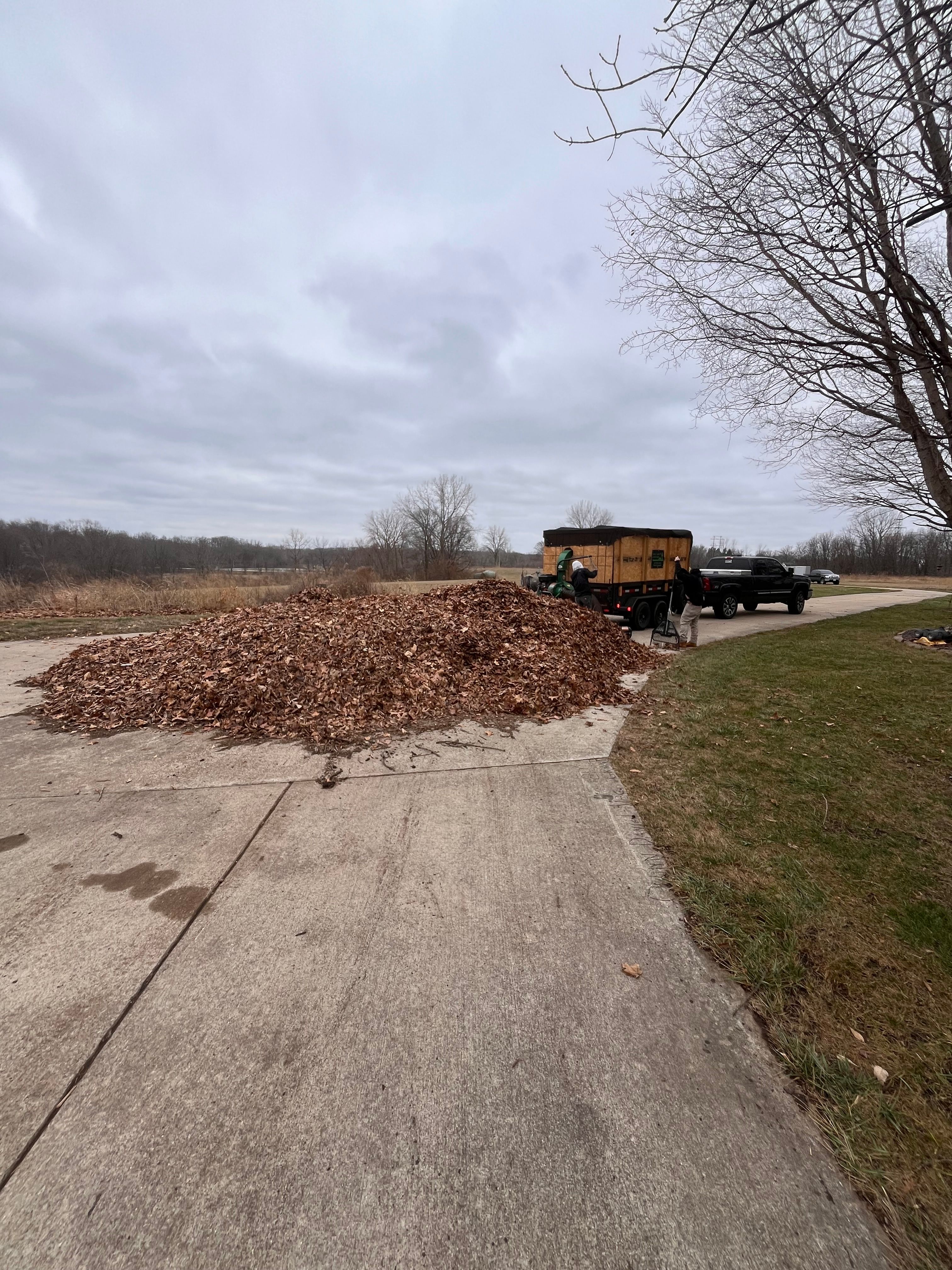  for Finest Lawn N Landscape in Springfield, IL
