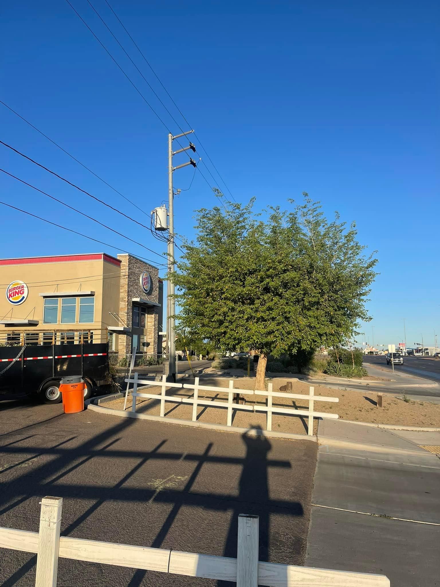  for Oliver L. Palm & Tree services in Yuma County, AZ