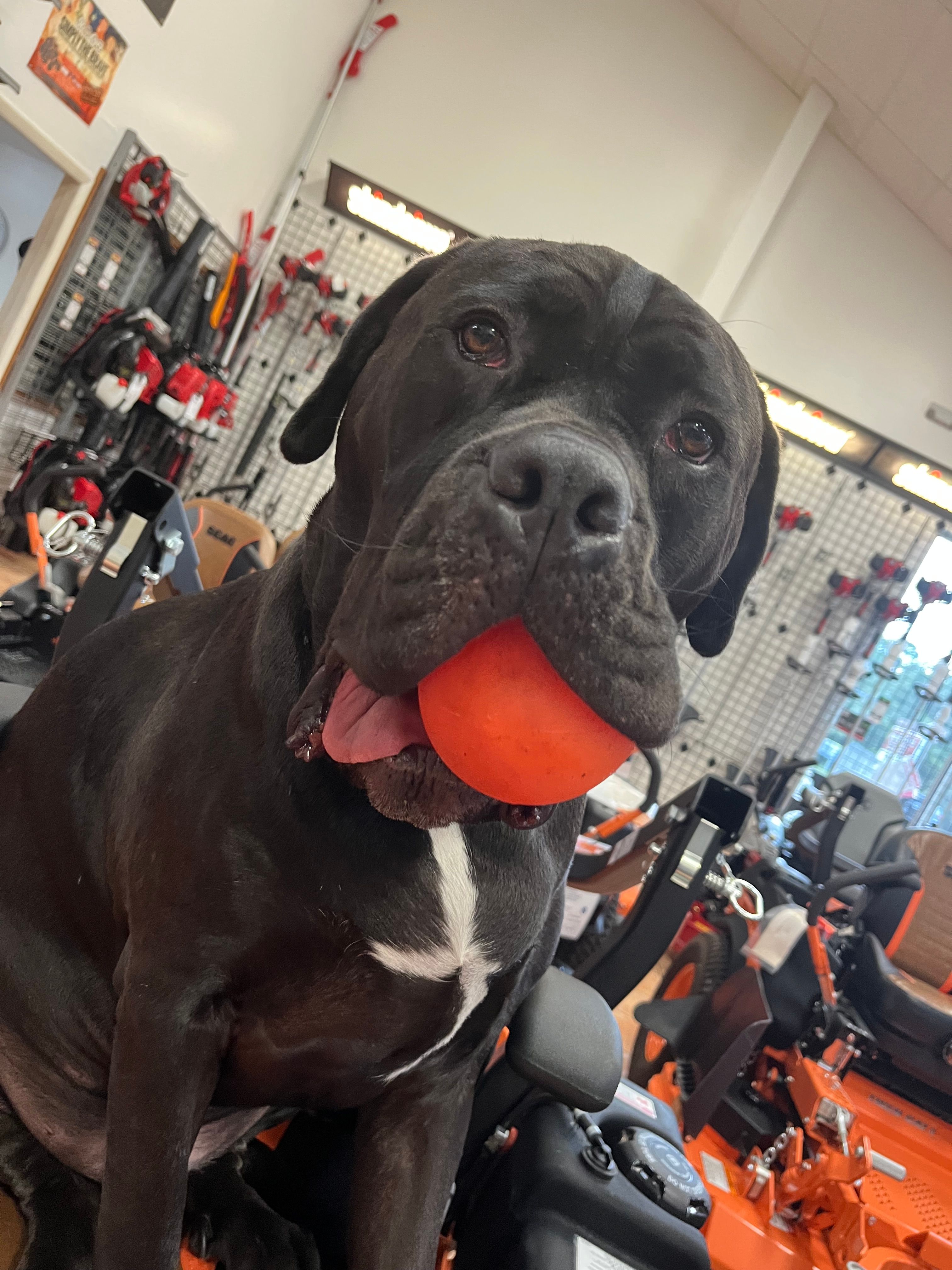  for Space Coast Property Maintenance and Management LLC in Melbourne, FL