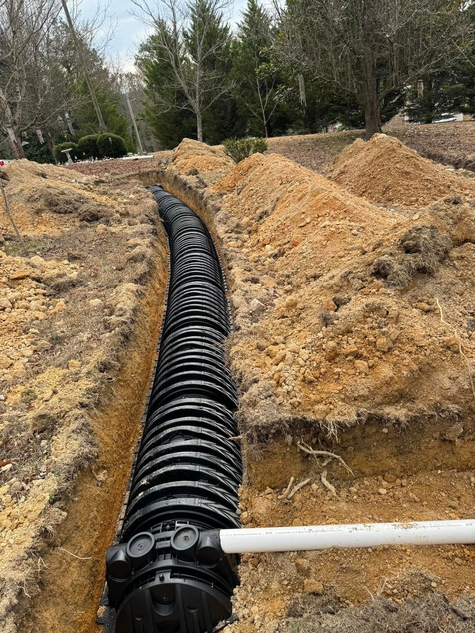  for Walker Septic & Drain LLC in Chickamauga, GA