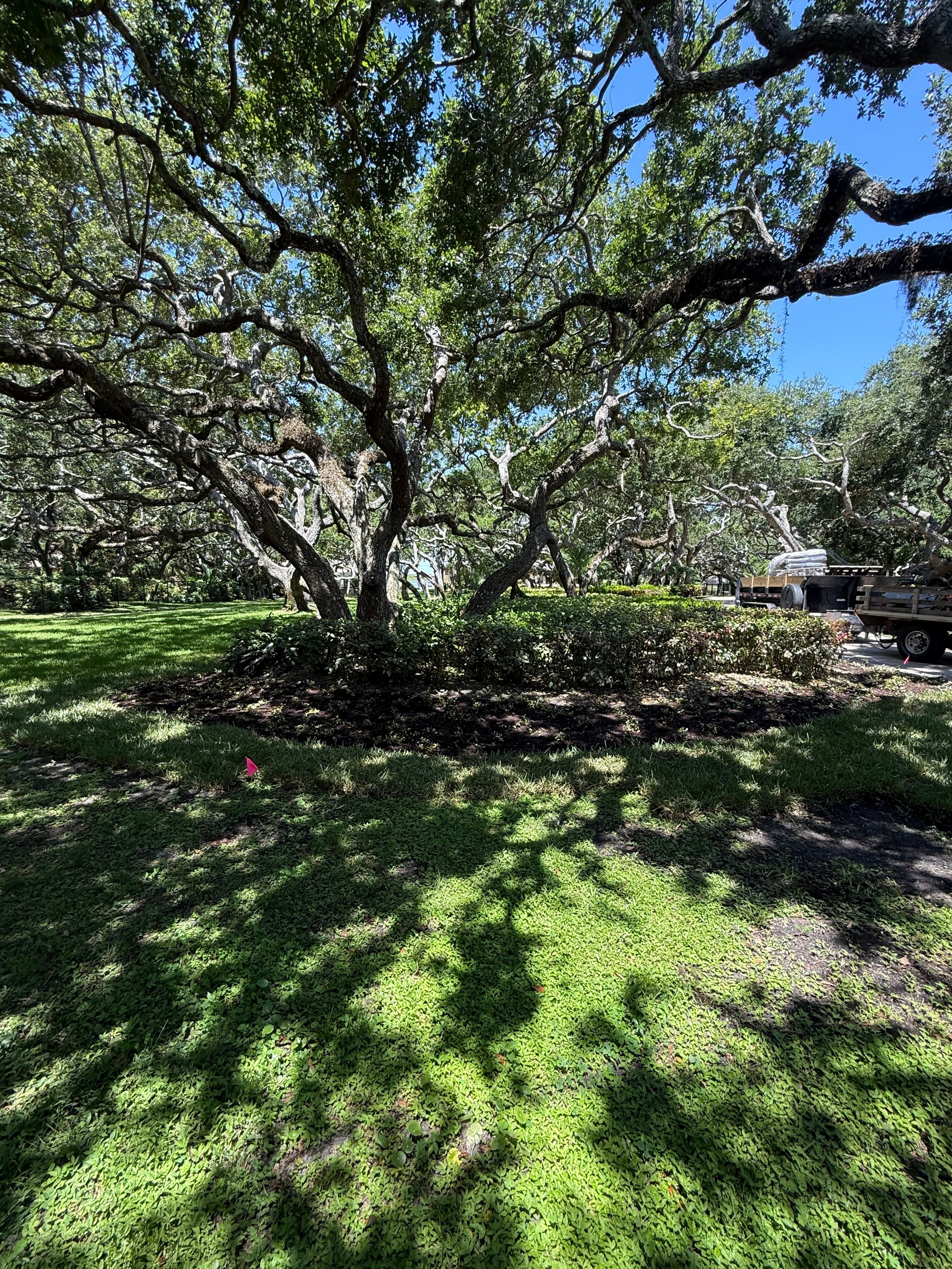  for Vanic's Landscaping in Port Orange, FL