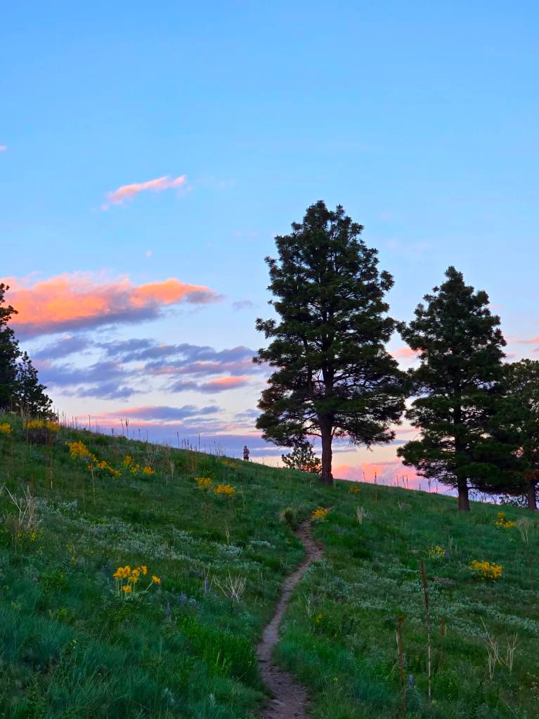  for Eagle Bay Lawn & Landscape LLC in Helena, MT