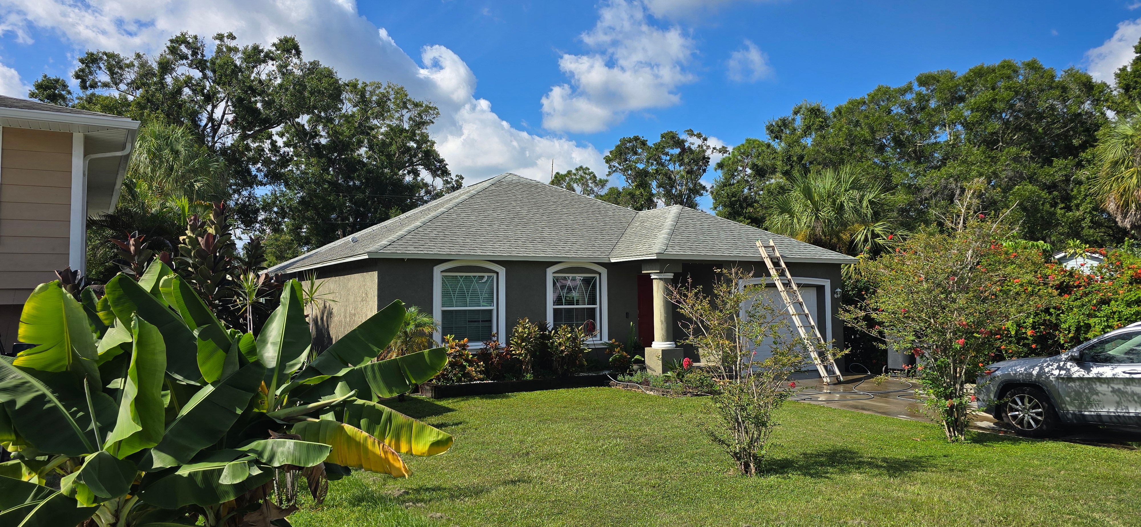  for Blue Stream Roof Cleaning & Pressure Washing in Tampa, FL
