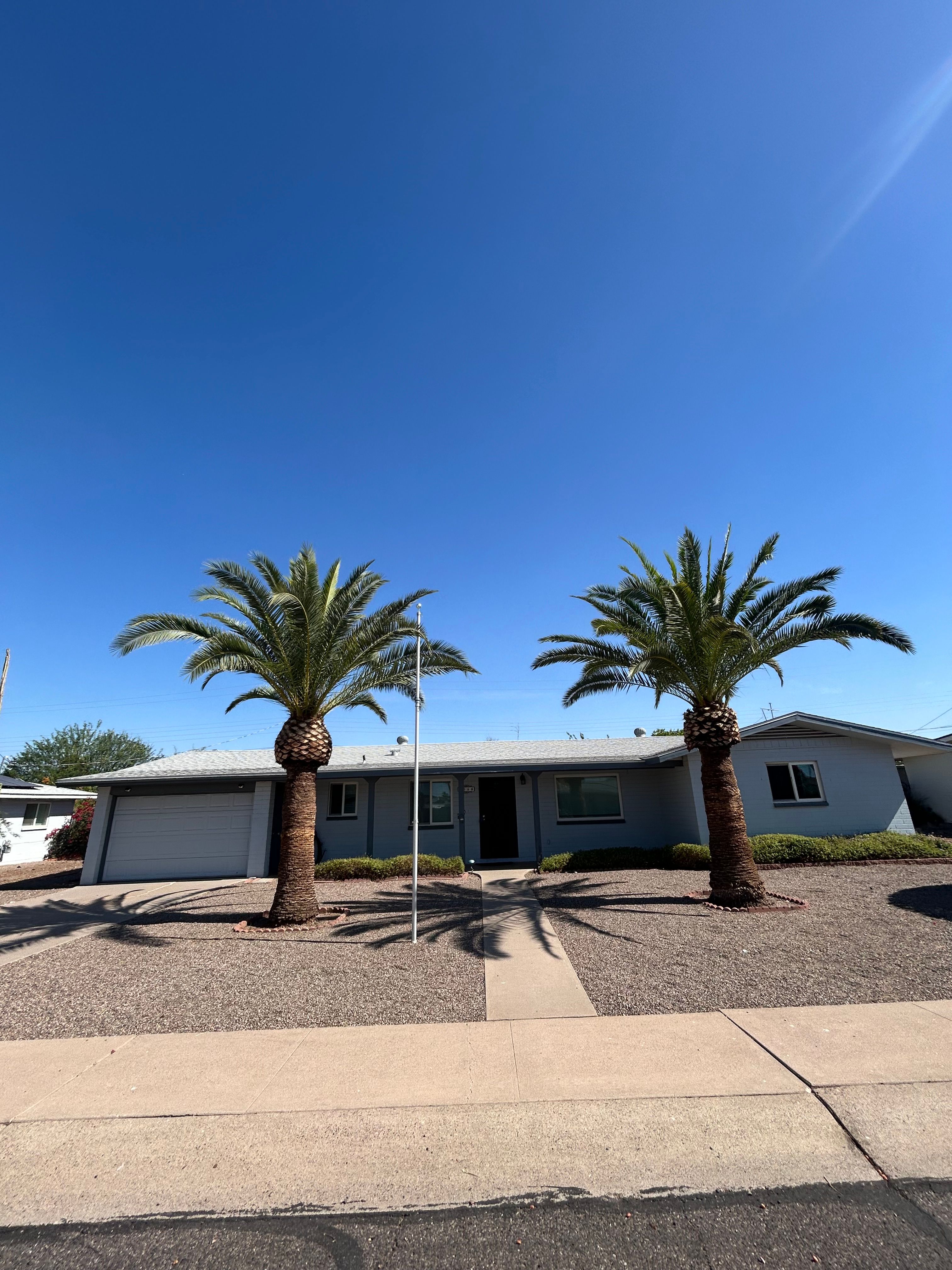  for Copperhead Solution in Phoenix, Arizona