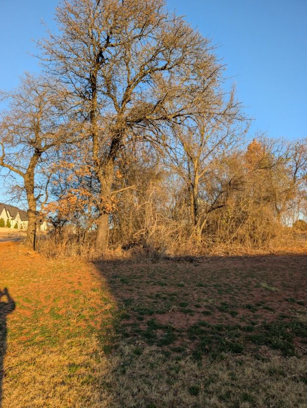  for Nathan Foyil Bobcat Work in Edmond, OK