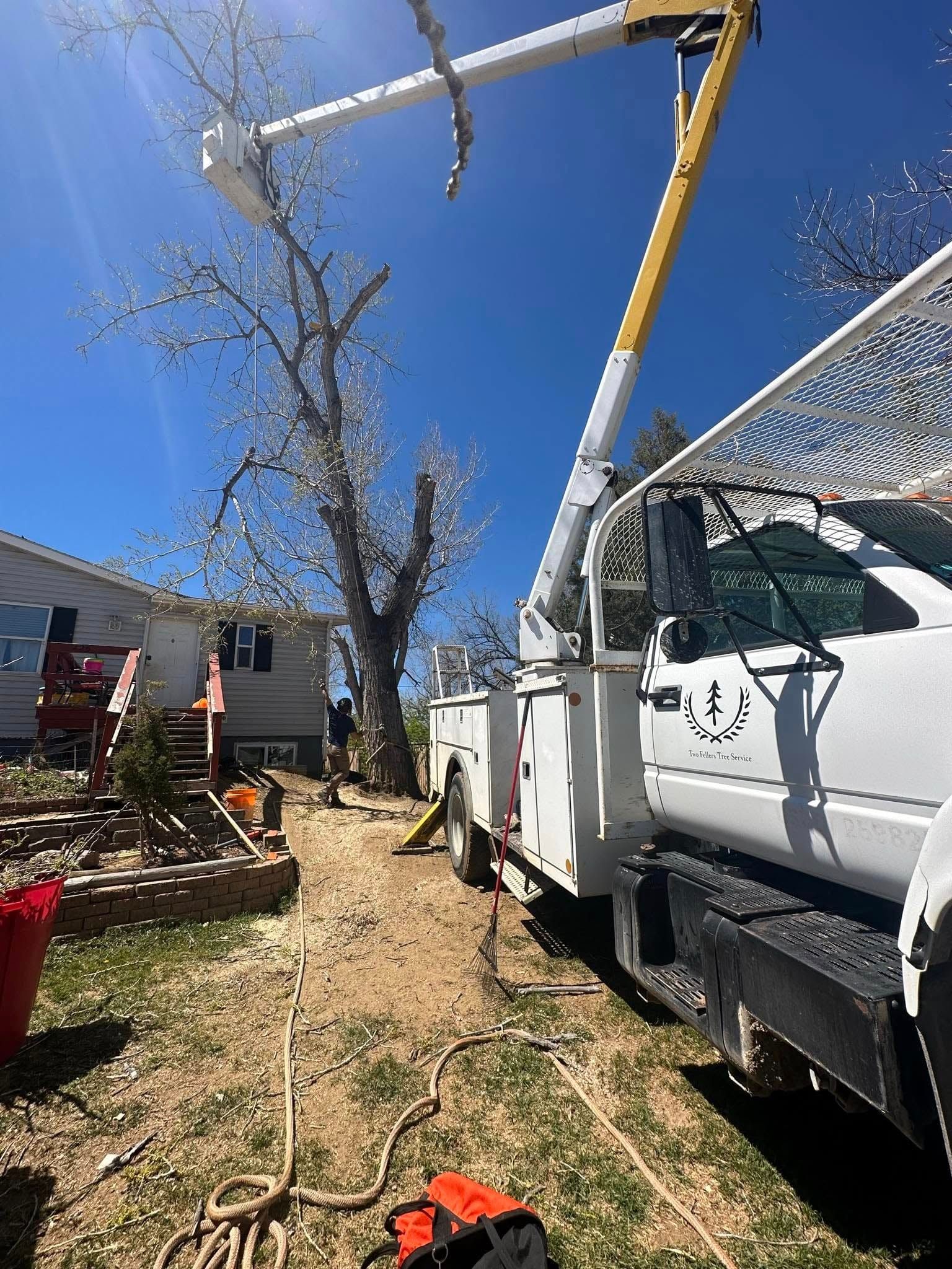  for Two Fellers Tree Service in Buffalo, WY