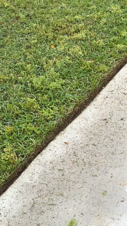  for Scalco’s Land Services in Statesboro, GA