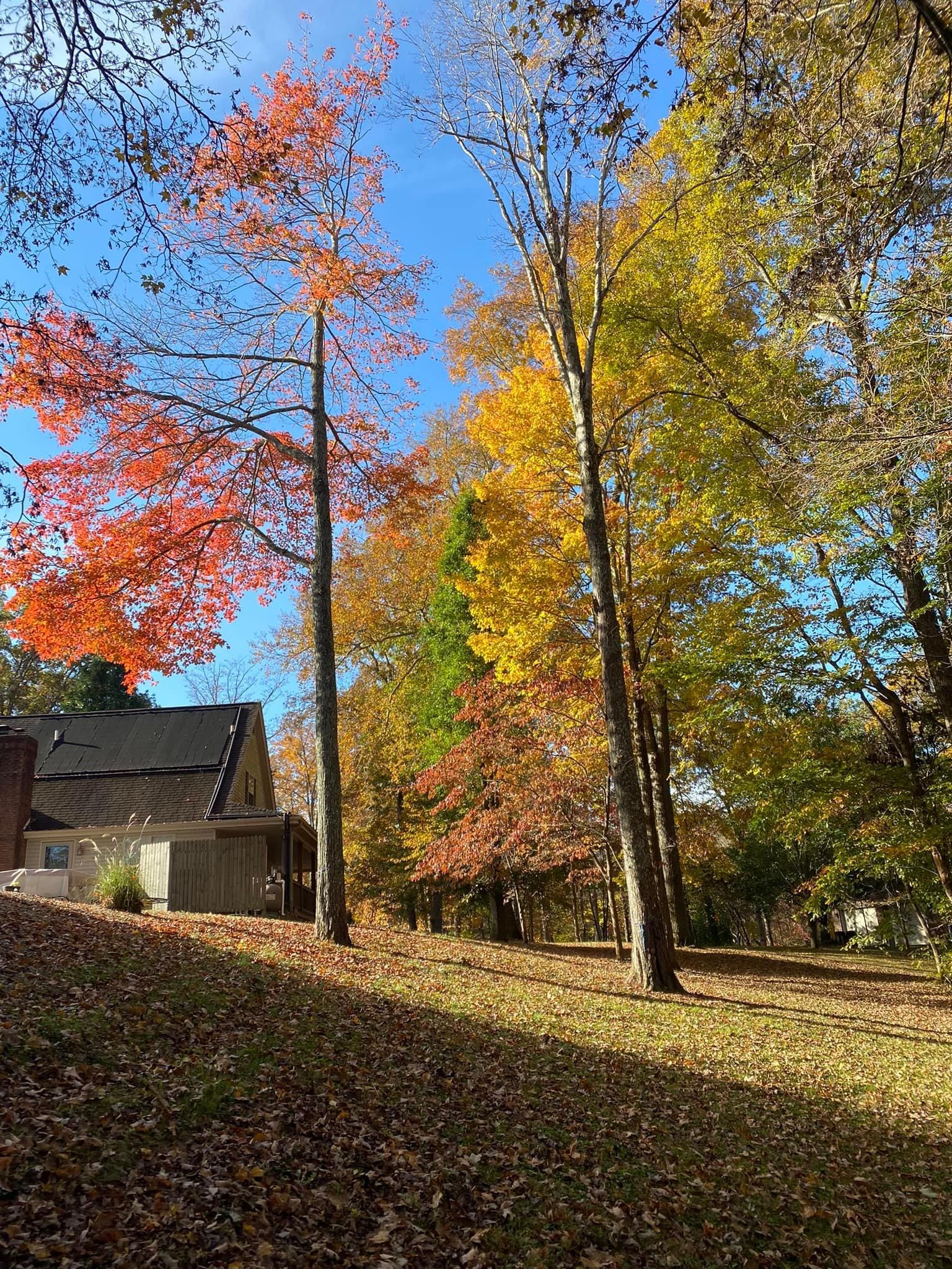 Fall and Spring Clean Up for Atwood’s Tree Care in Liberty,  KY