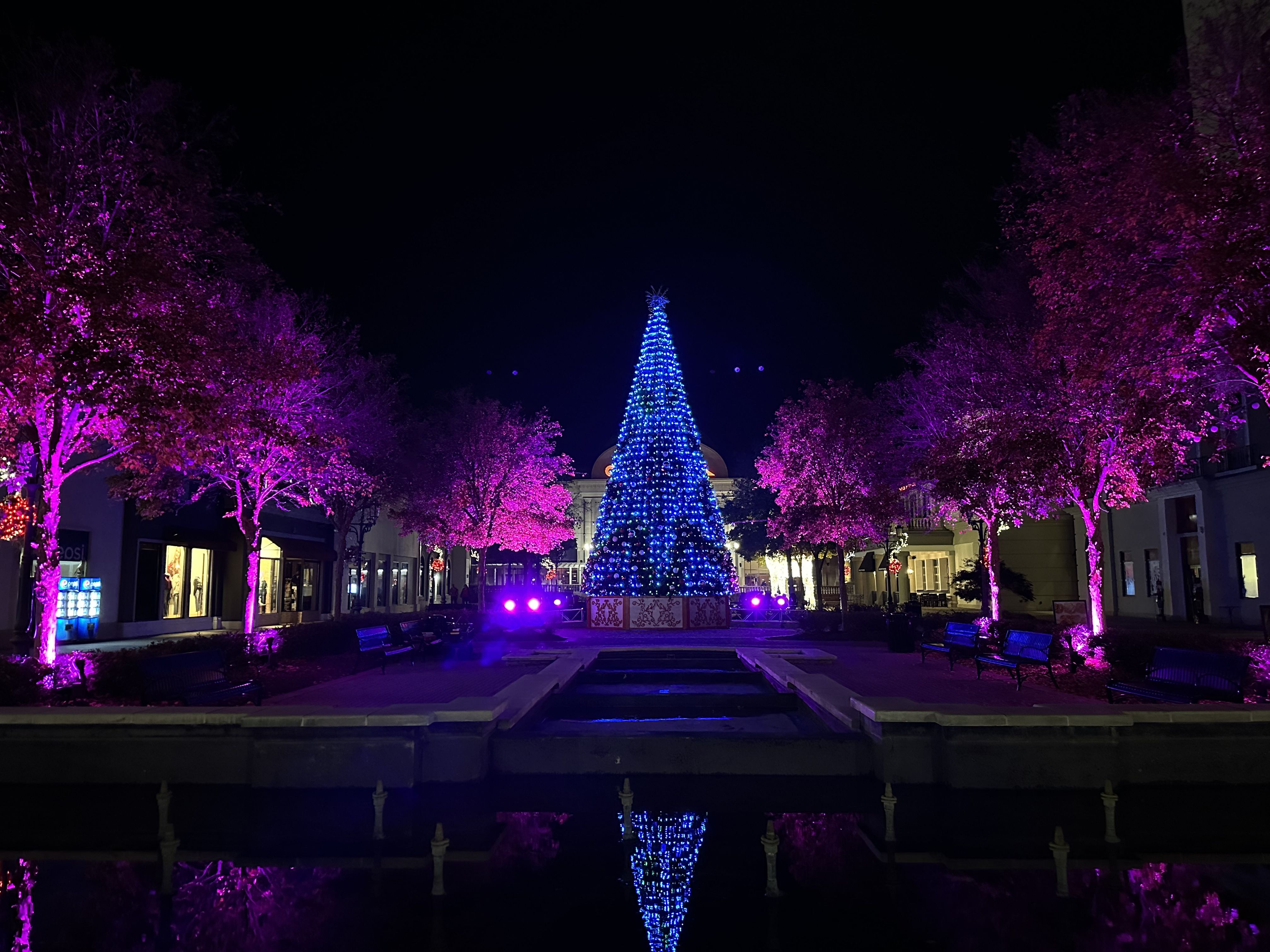  for Holiday Lighting Solutions in Huntsville, AL