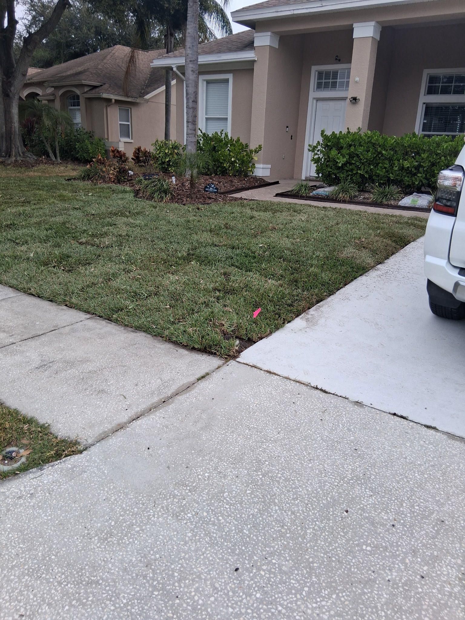  for Gulf Bay Sod in Clearwater, FL