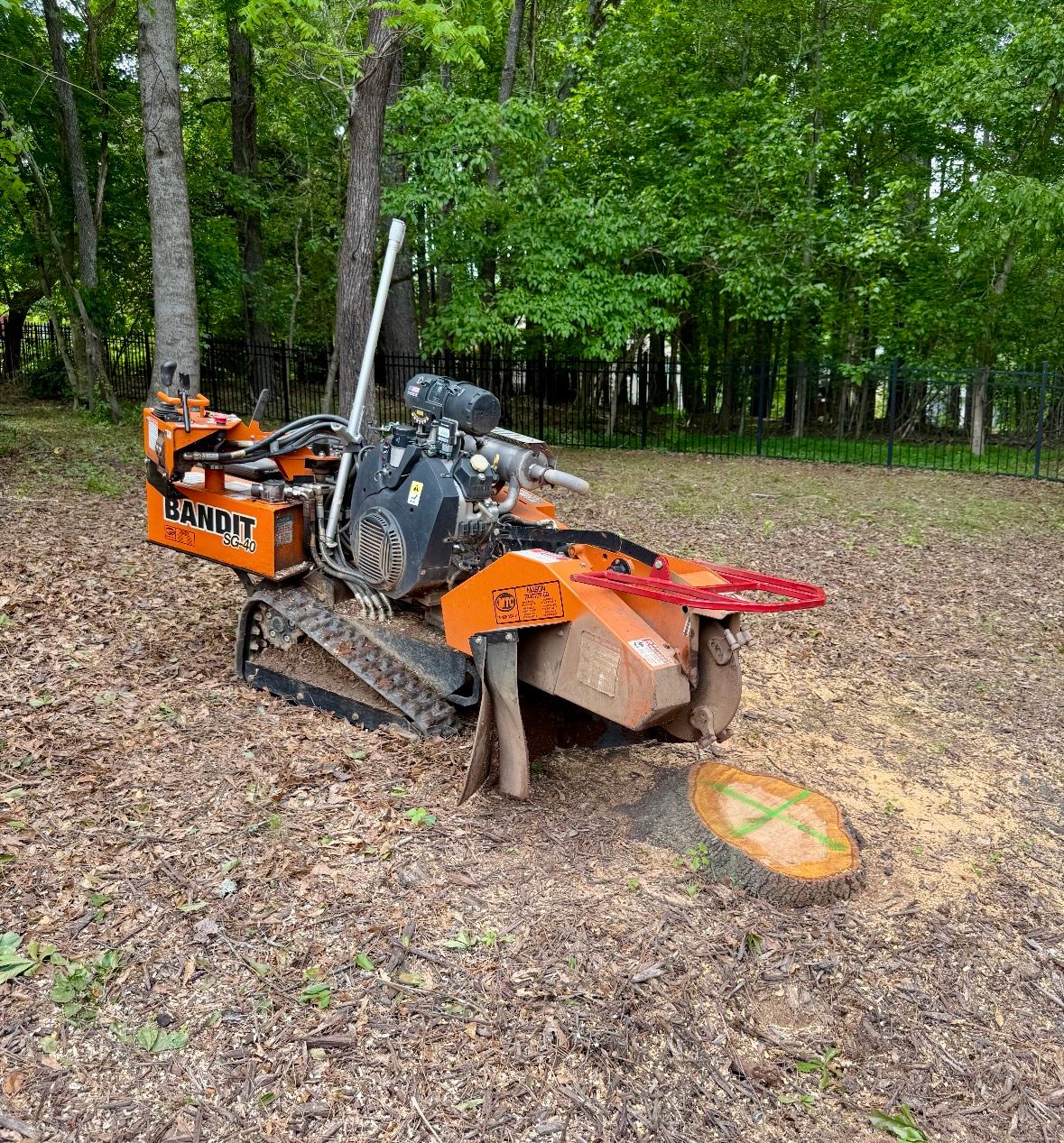  for Clear Tree Land Solutions in Dawson County, GA