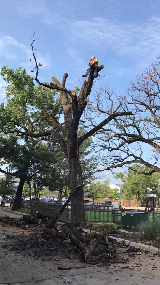  for A Realtree Service in Garland, TX