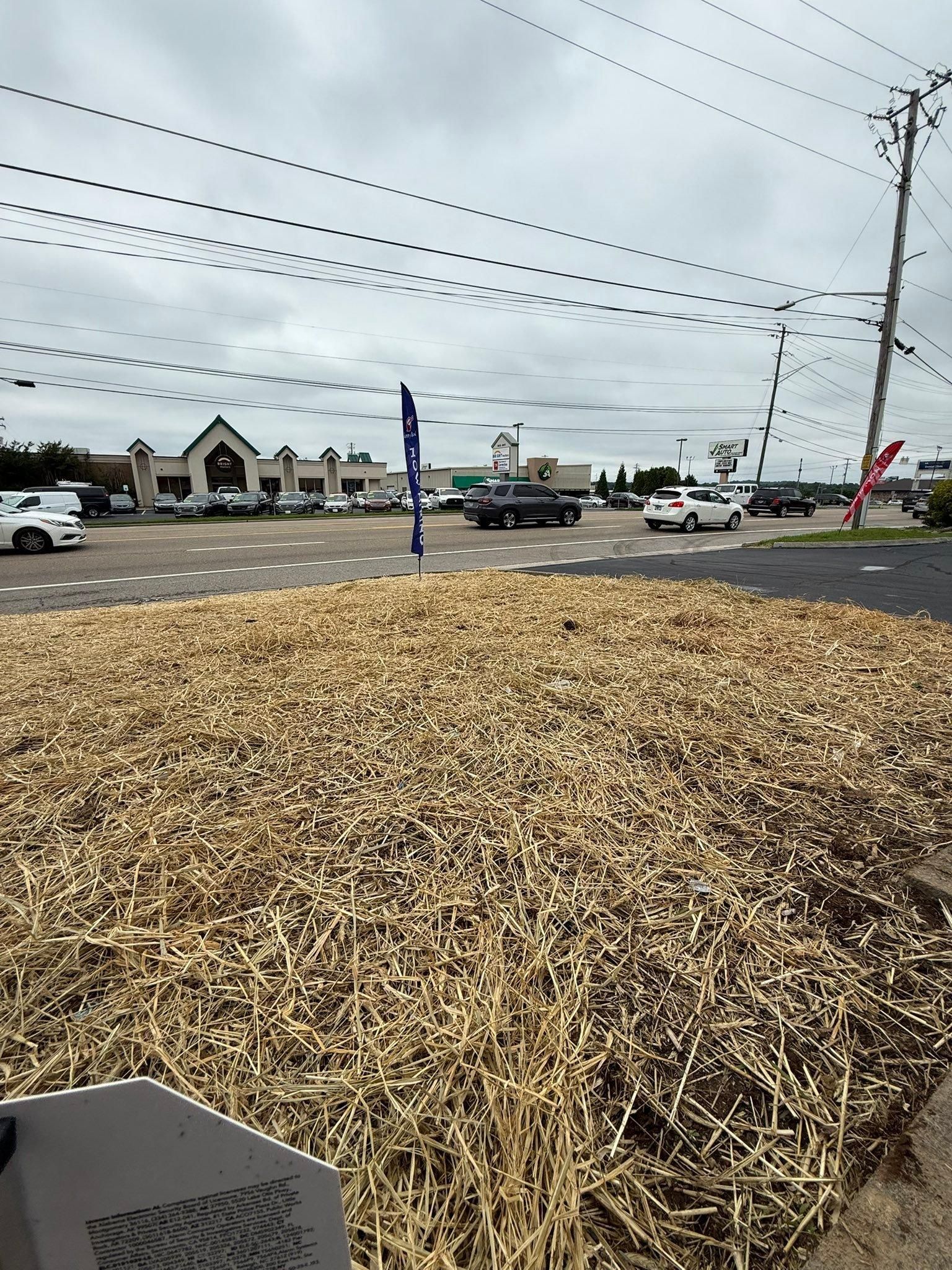  for Wesleys Landscaping in Clinton, TN