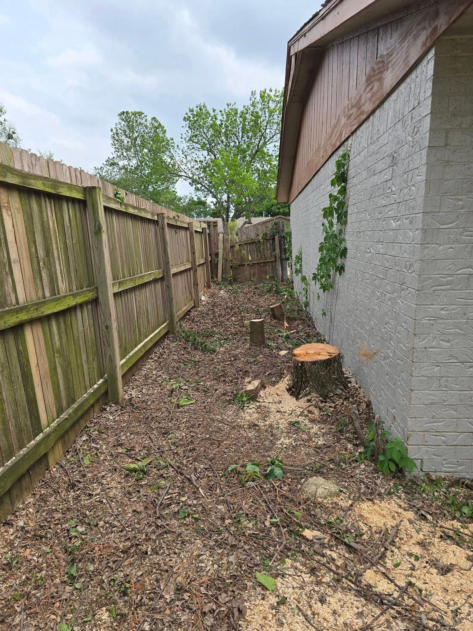  for Oklahoma Tree Guy in Bartlesville, OK