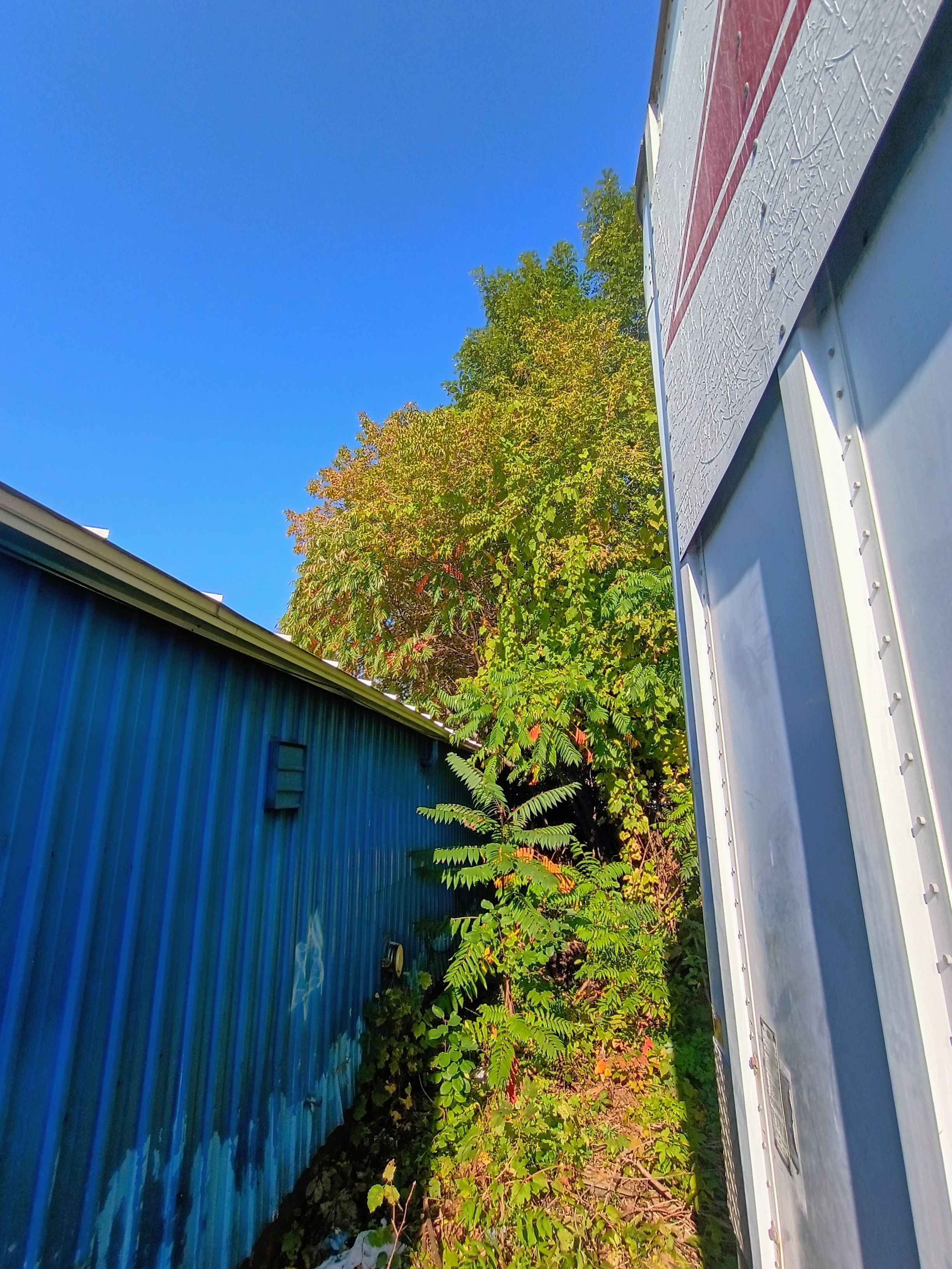  for First Response Reconstruction LLC in New Hampshire, NH