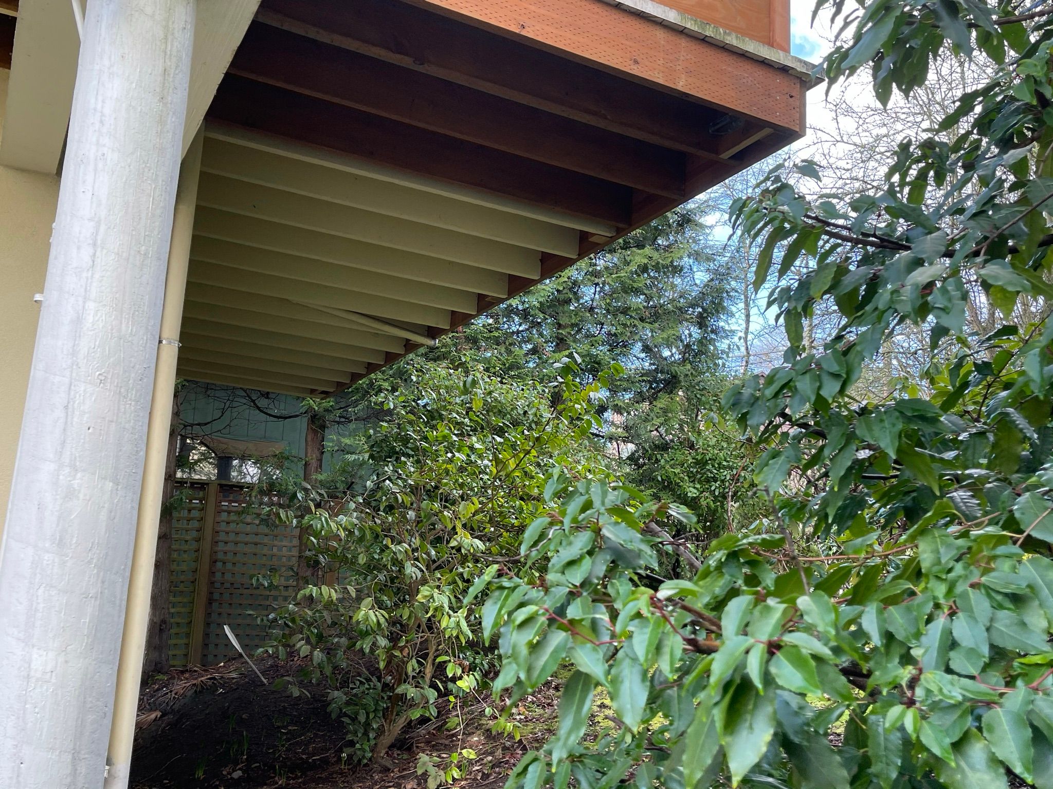  for Tony's Remodeling & Painting in Renton, WA