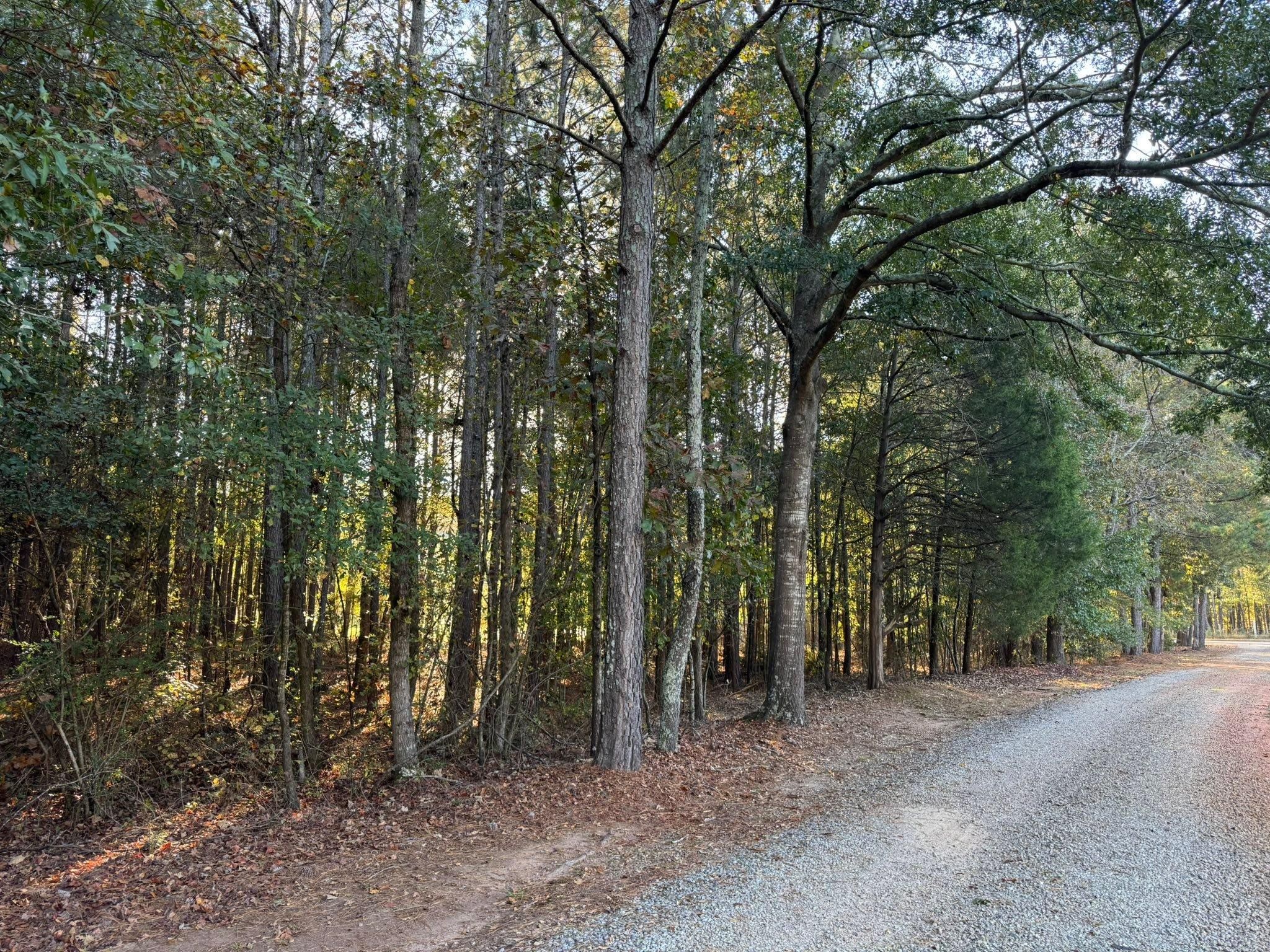  for KLNAX Enterprises in Newton County, GA