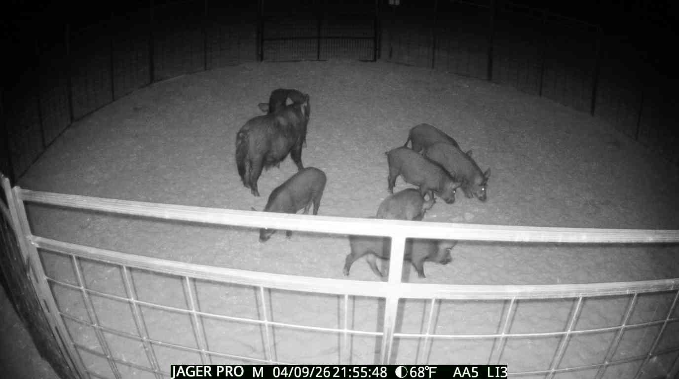  for Havoc Hog Control in Molino, FL