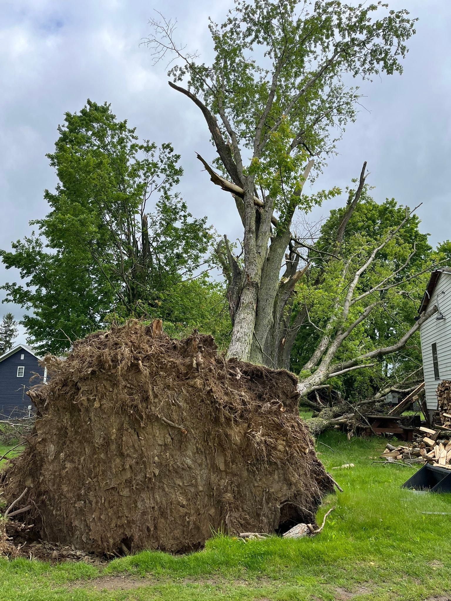  for J&E Tree & Excavation Services in Sandy, PA