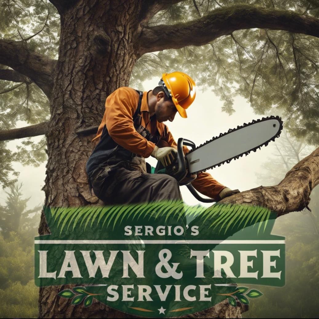  for Sergio’s Lawn and Tree Service in Knoxville, TN