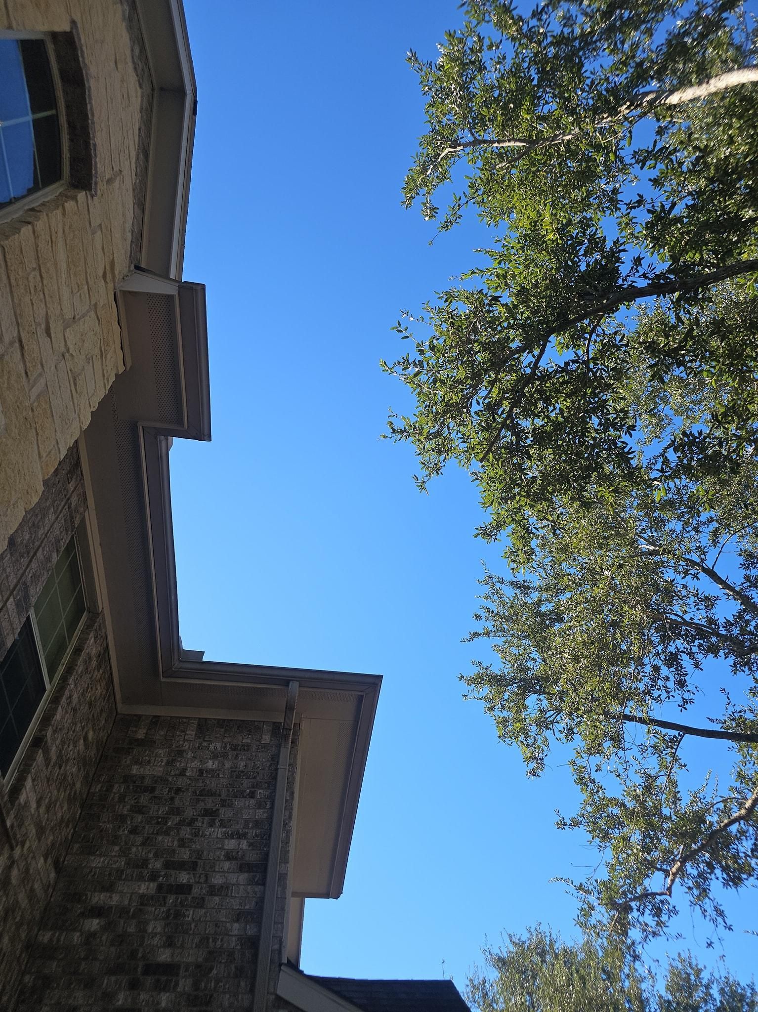  for Servin's Tree Care  in Houston, TX