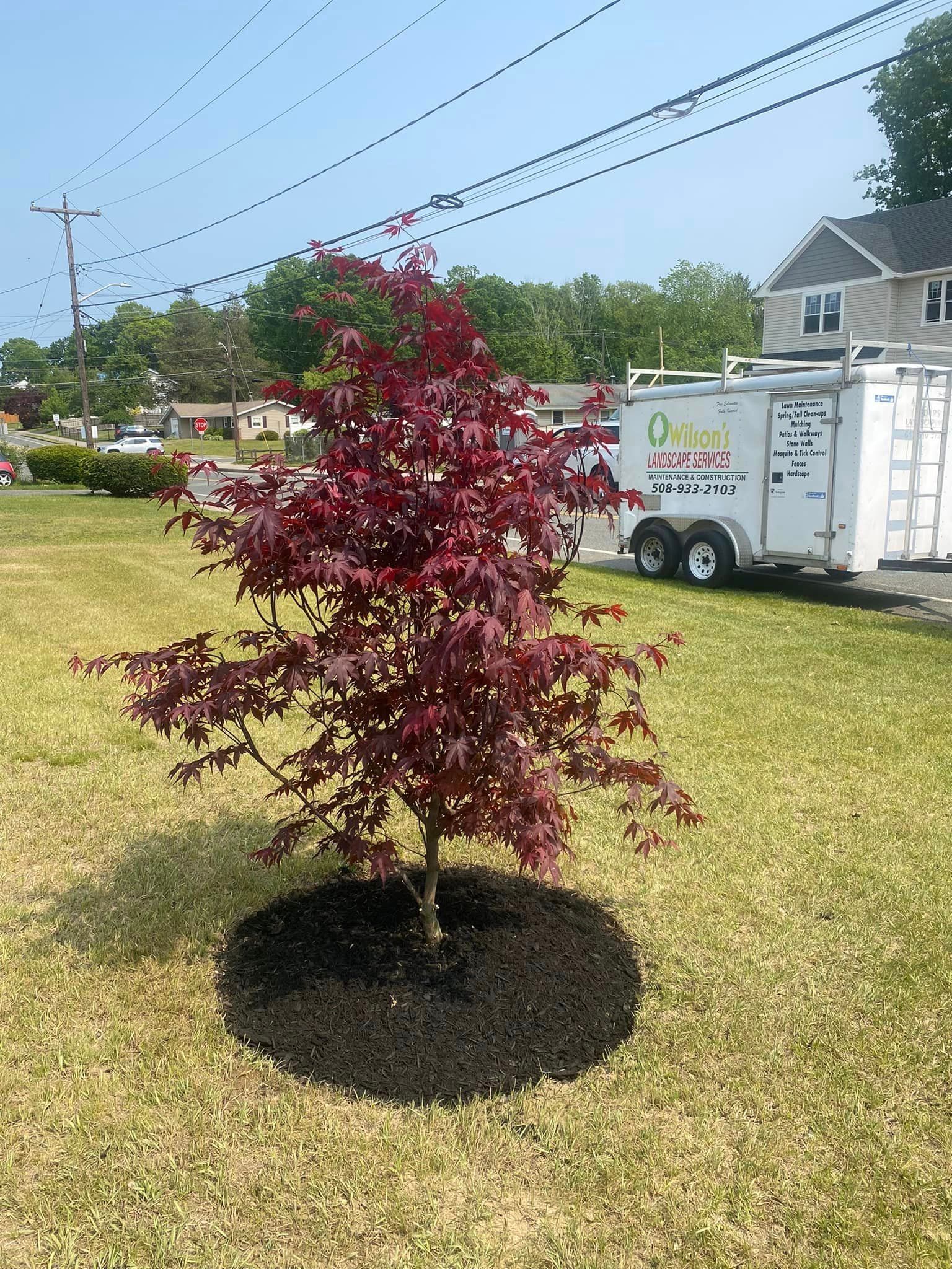  for Wilson’s Landscape Services LLC in West Bridgewater, MA