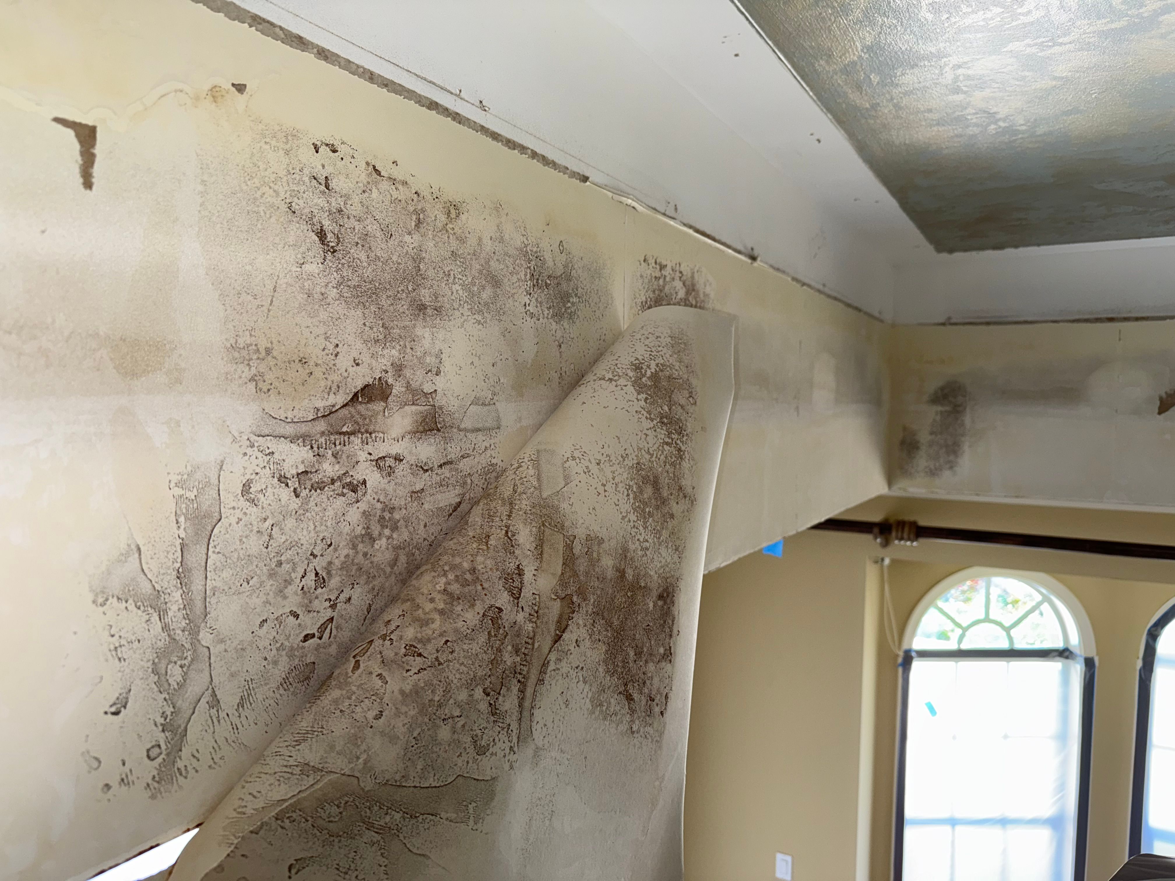  for N&D Restoration Services When Disaster Strikes, We Come In in Cape Coral,  FL