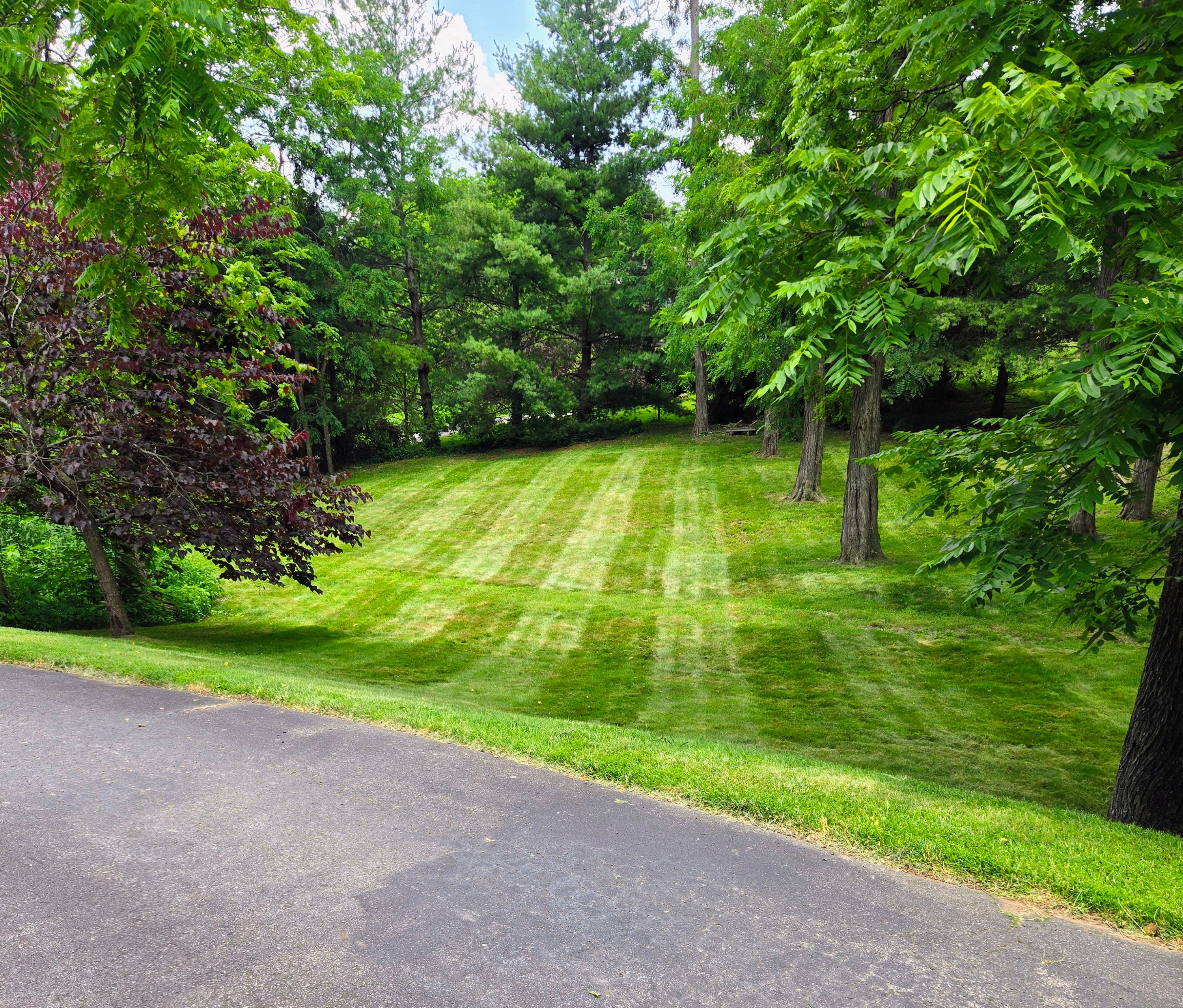  for C4 TrueVision Renovations in Asheville, NC