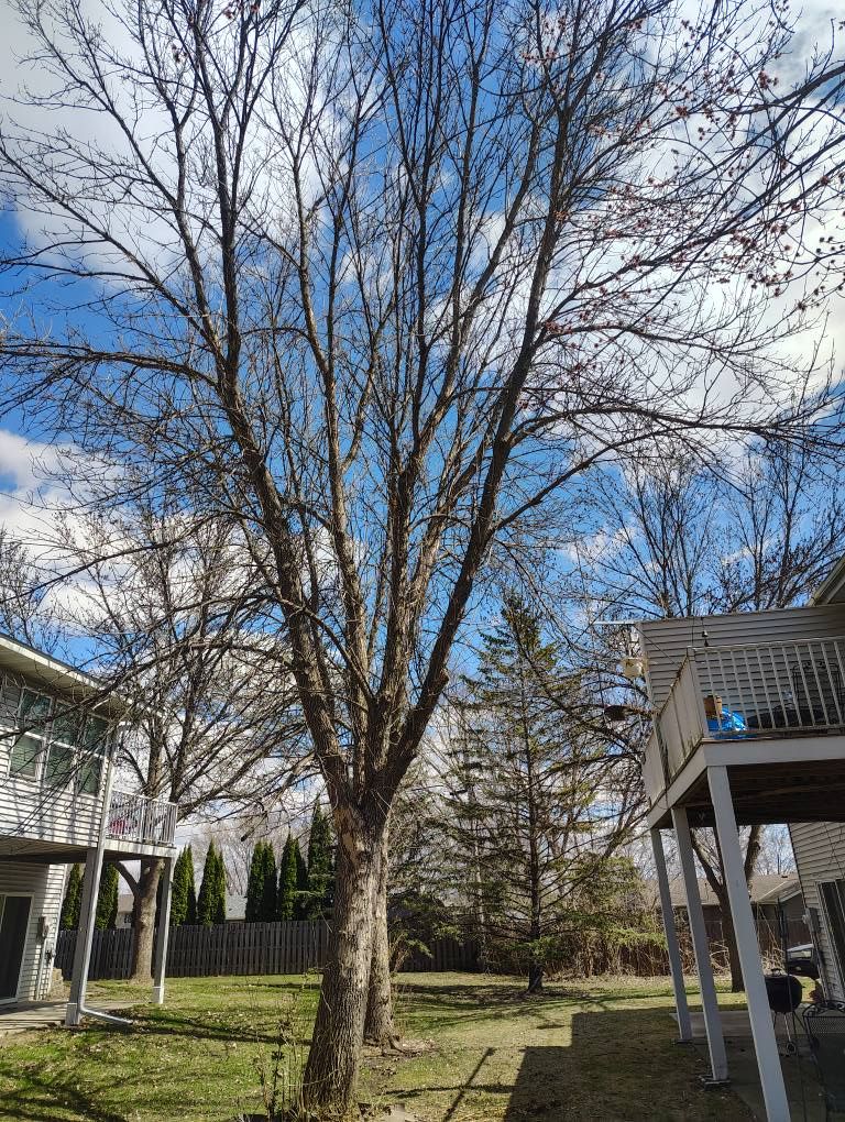 All Photos for Big River lawn Care services and snow LLC in Wausau, WI