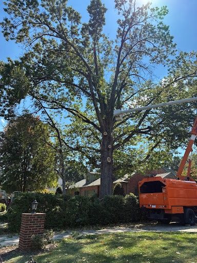  for Brocks Tree Service LLC in Rogersville, TN