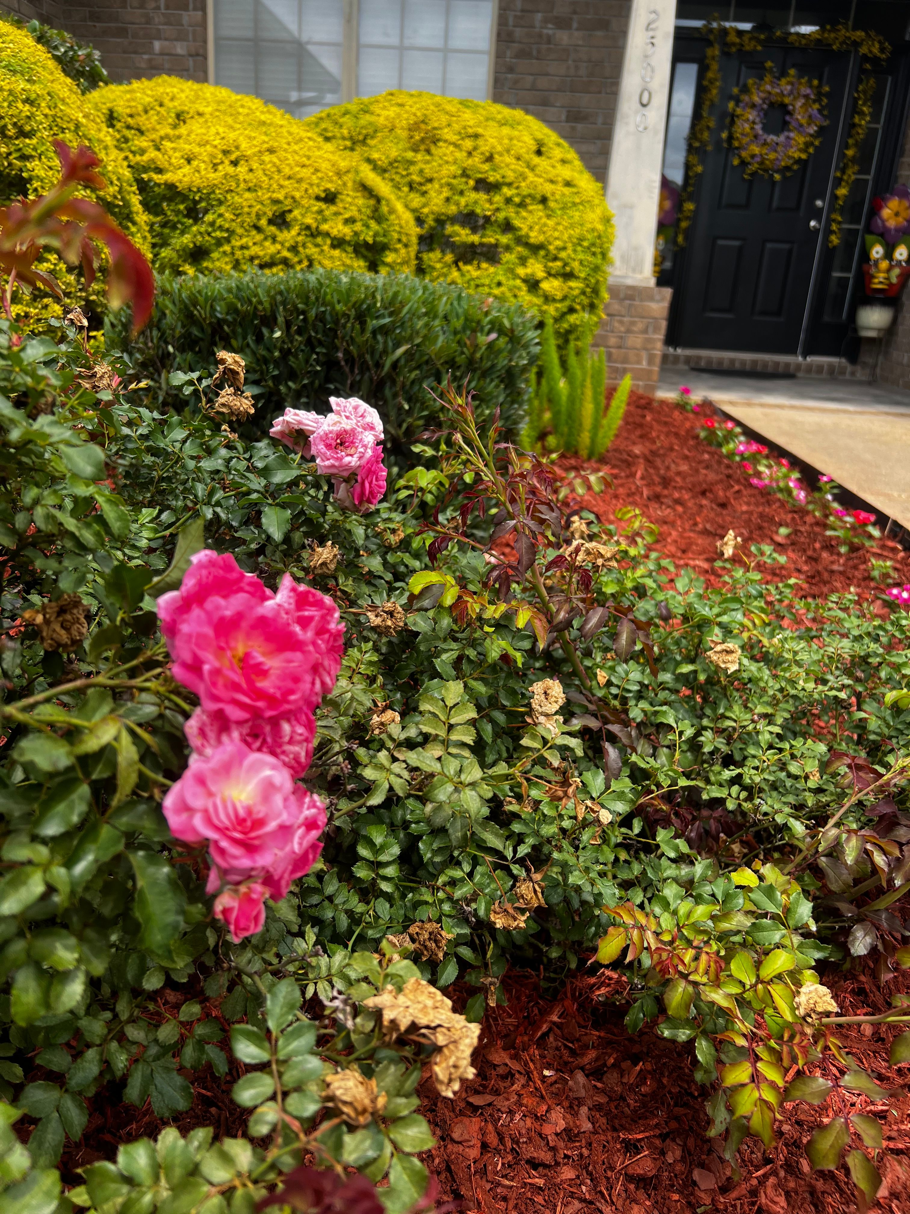  for Enhanced Landscape in Daphne, AL