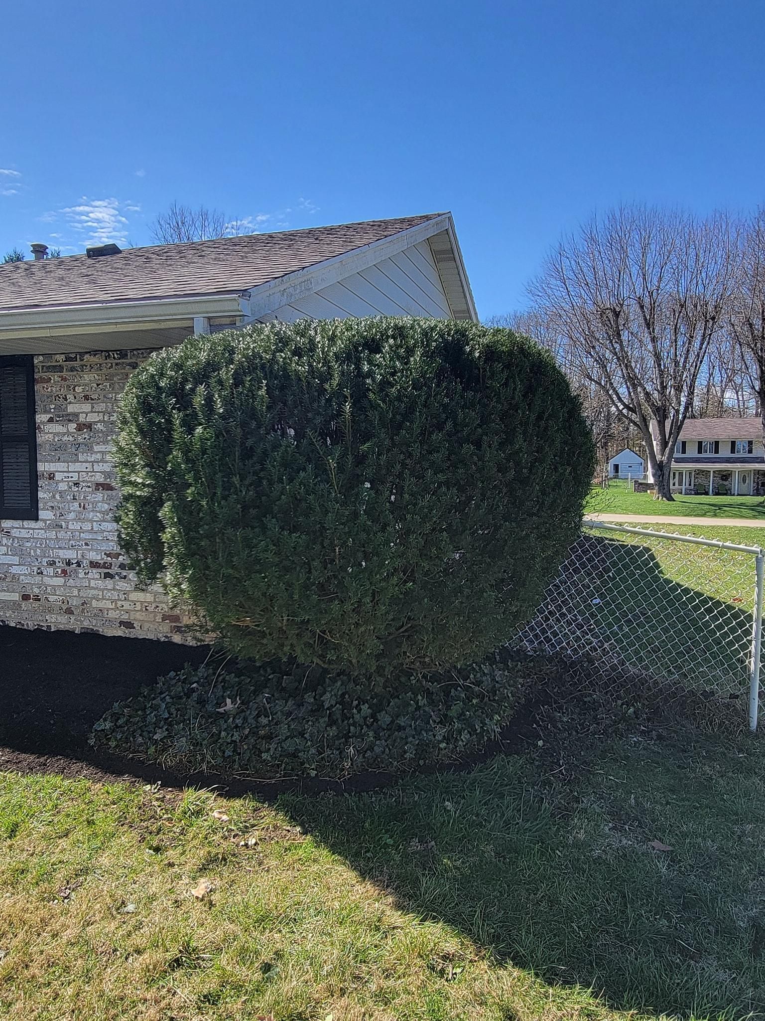 All Photos for Tingley's Green Land Services in Springfield, Ohio