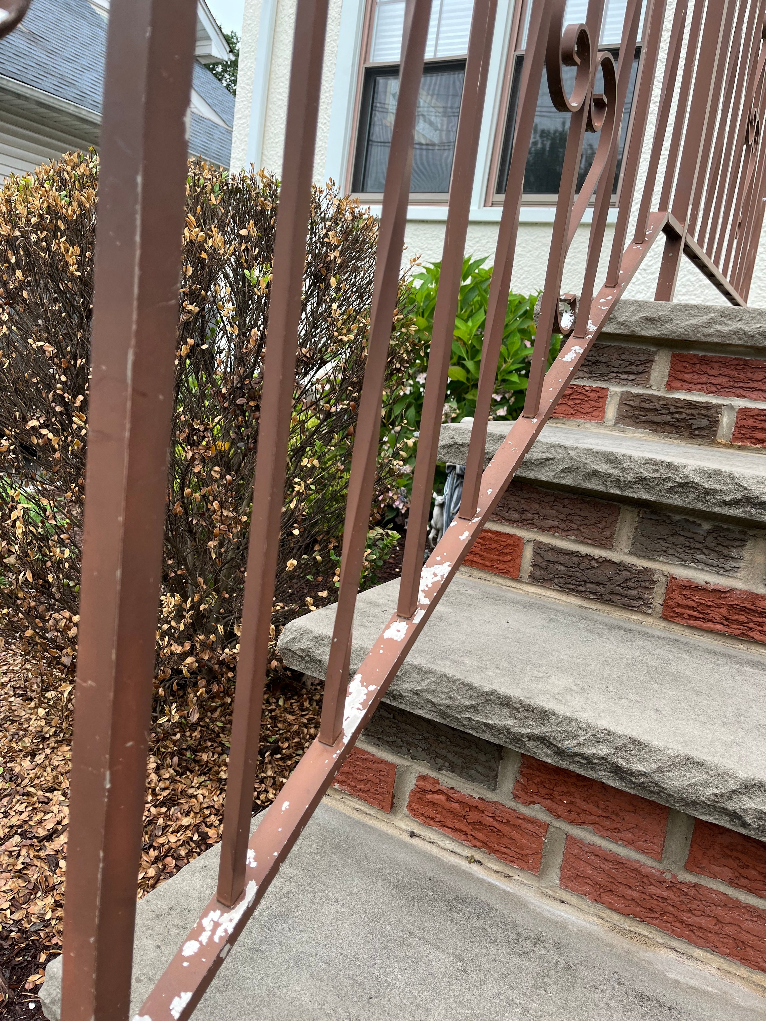  for D'Amore's Home Improvement, LLC in Westfield, NJ