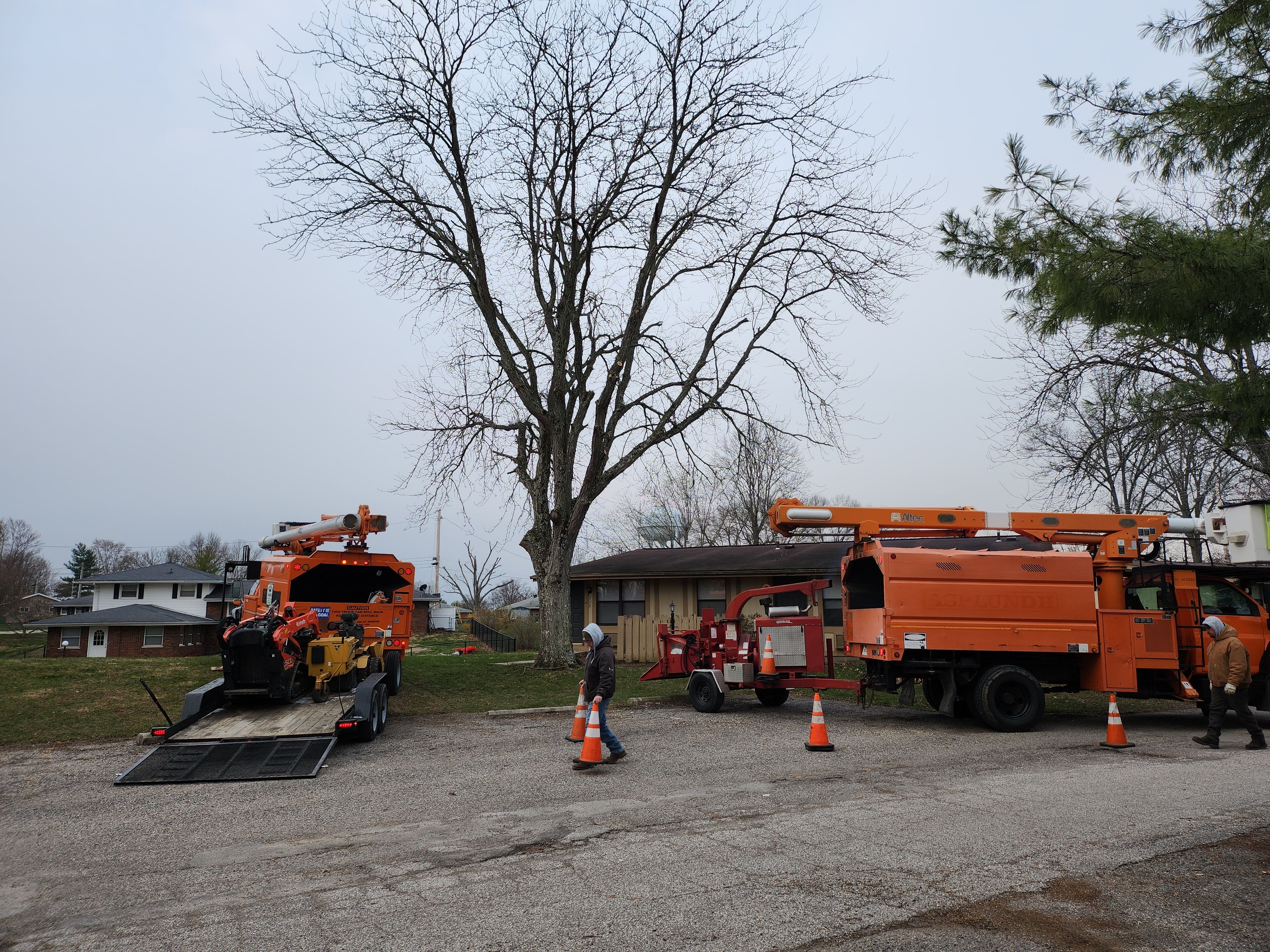  for Carpenter's Tree Service in Aurora, IN