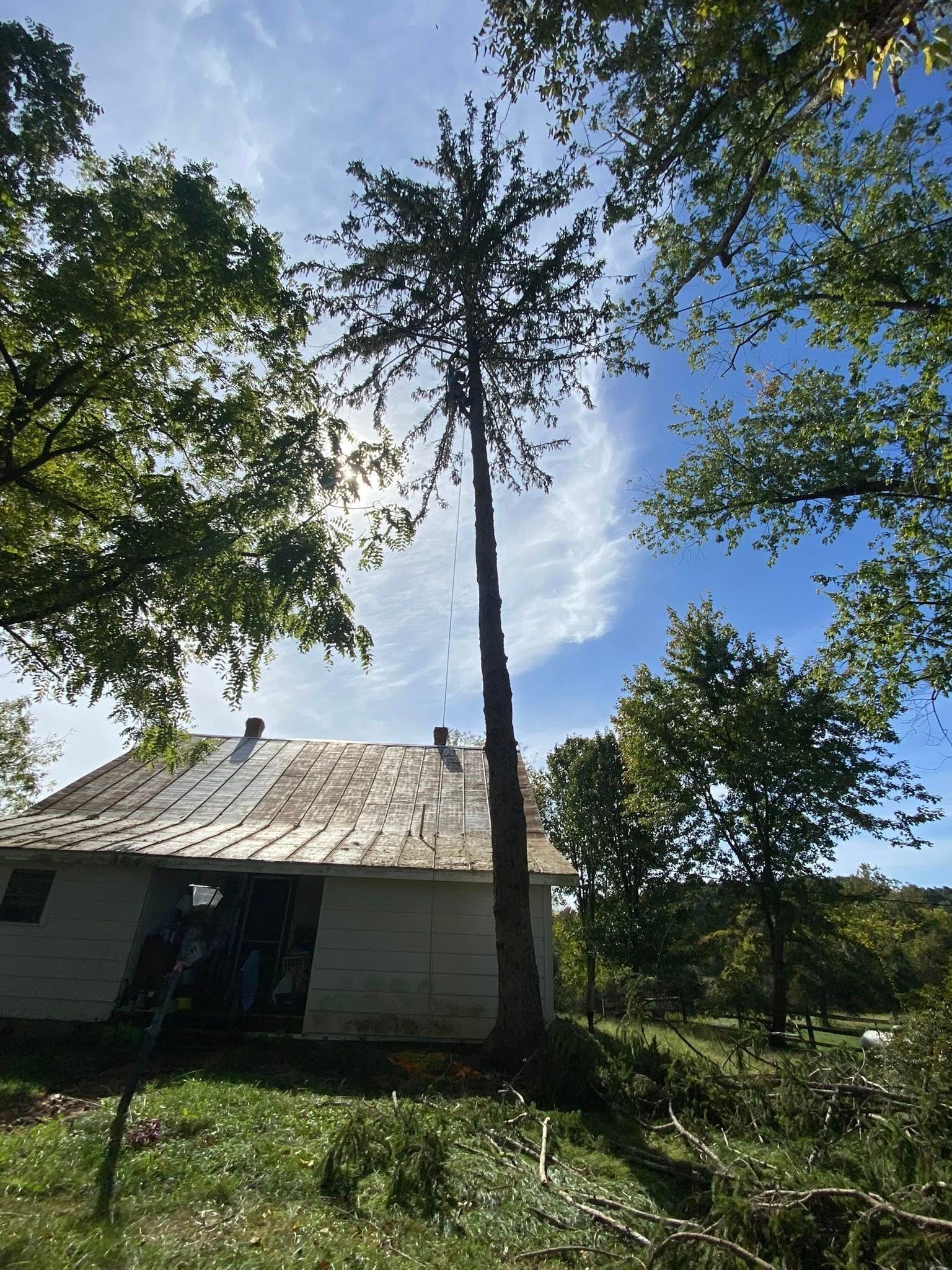 All Photos for VA Landgrowth LLC in Lexington, VA