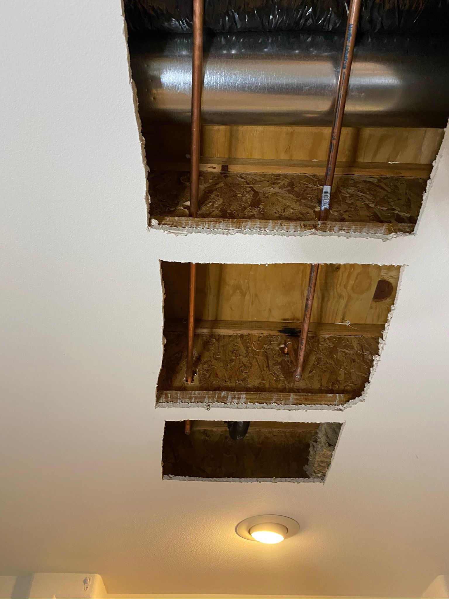  for Tony's Remodeling & Painting in Renton, WA