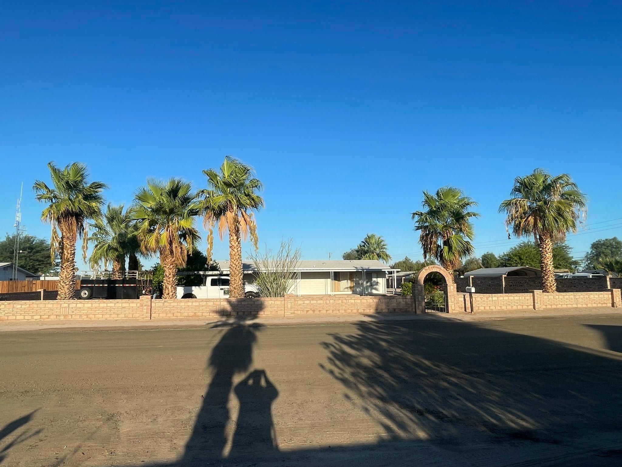  for Oliver L. Palm & Tree services in Yuma County, AZ