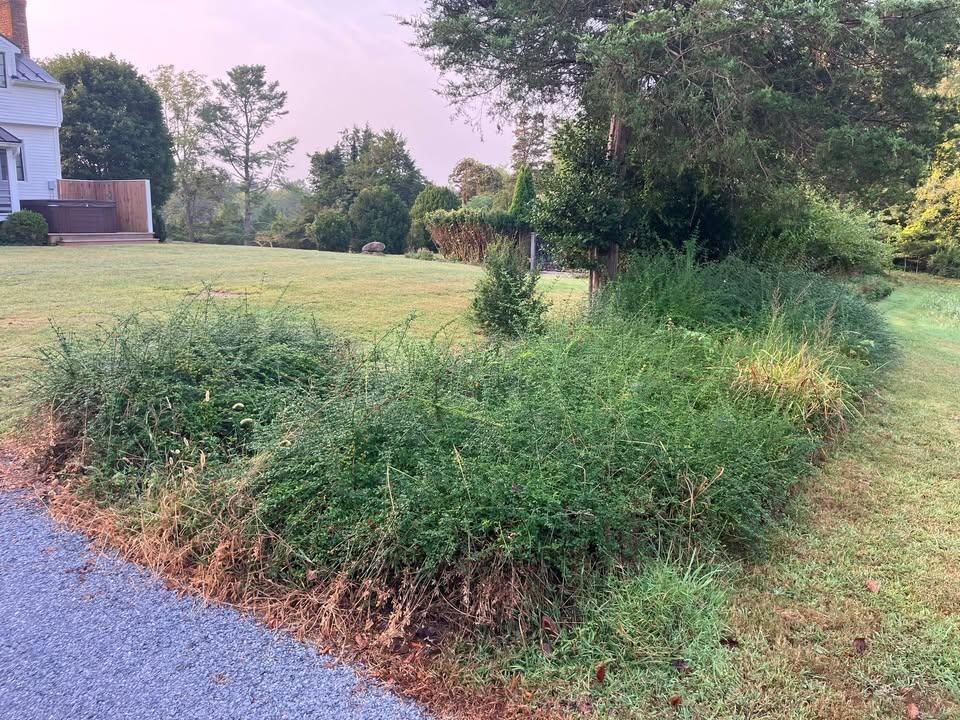  for 9999 Building and Renovation LLC in Warrenton, VA