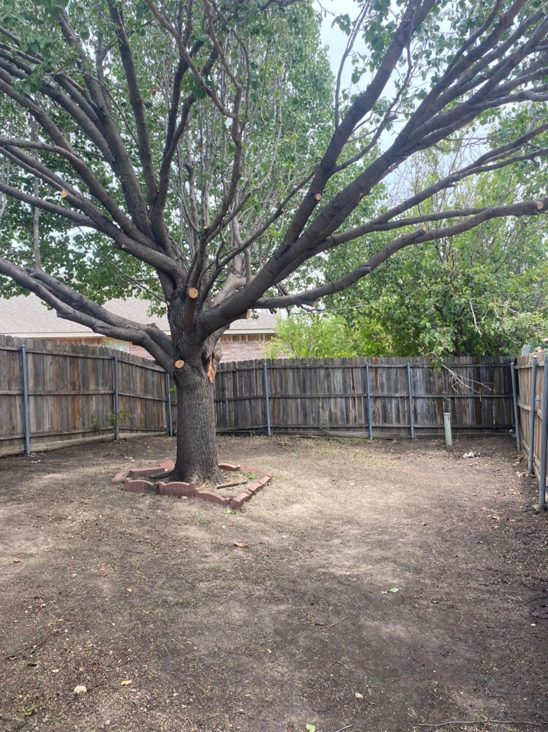  for Muniz Tree Service in North Richland Hills, TX