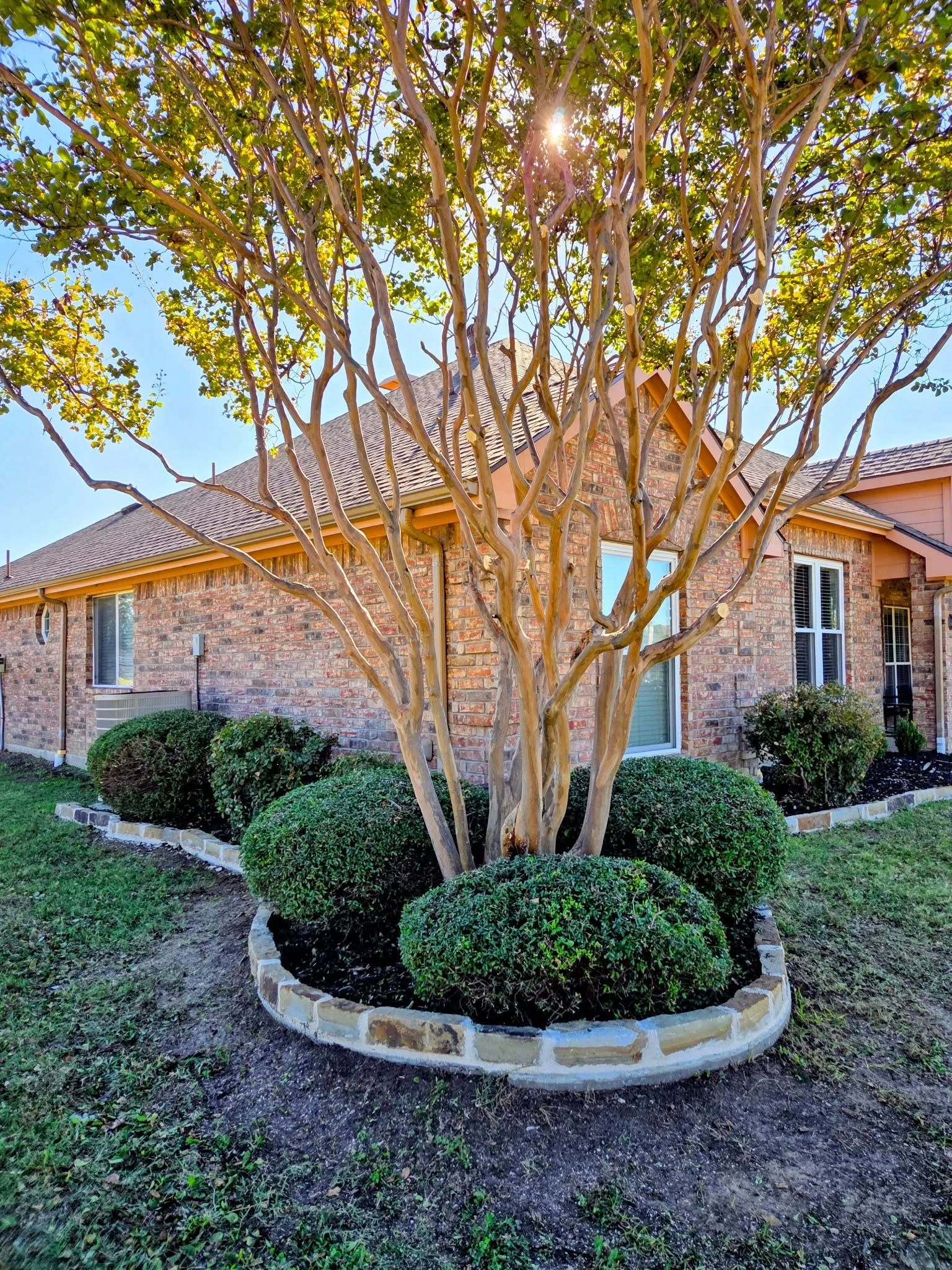  for Lavon Lawn Plus in Lavon, TX