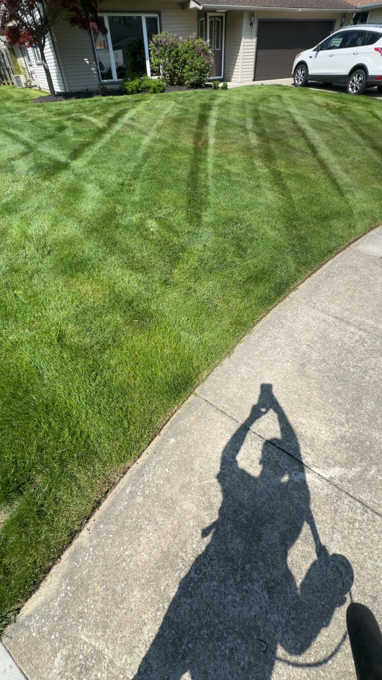  for Yard Theory in Willowick, OH