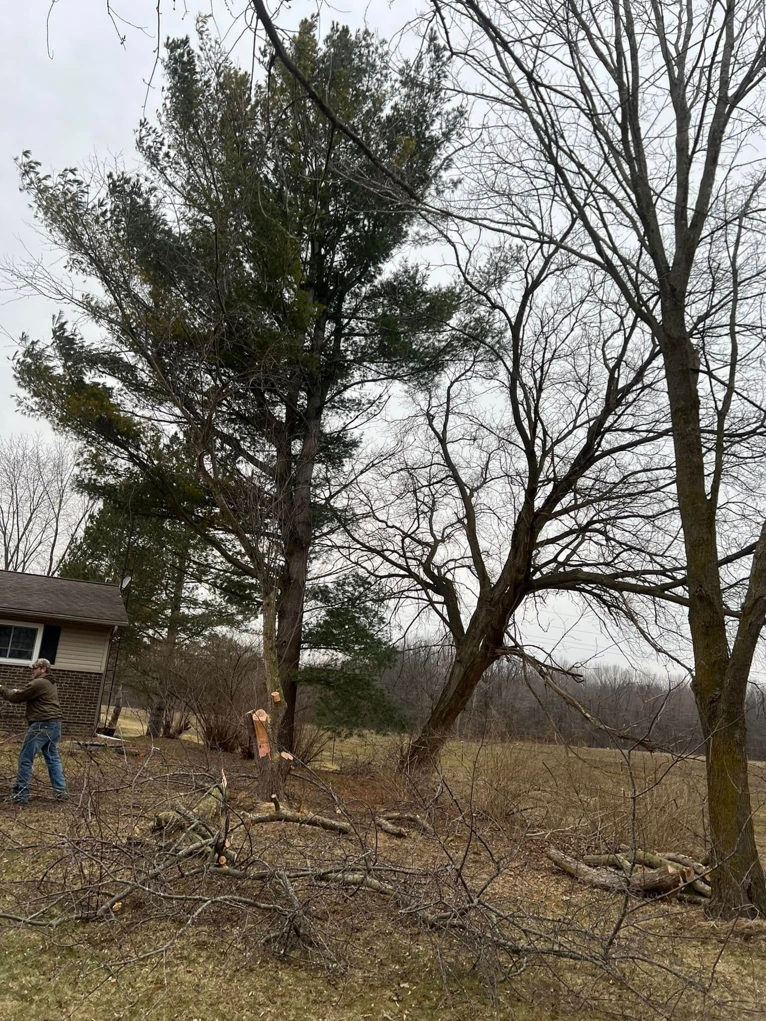  for The Bucking Arborists in Flint, MI