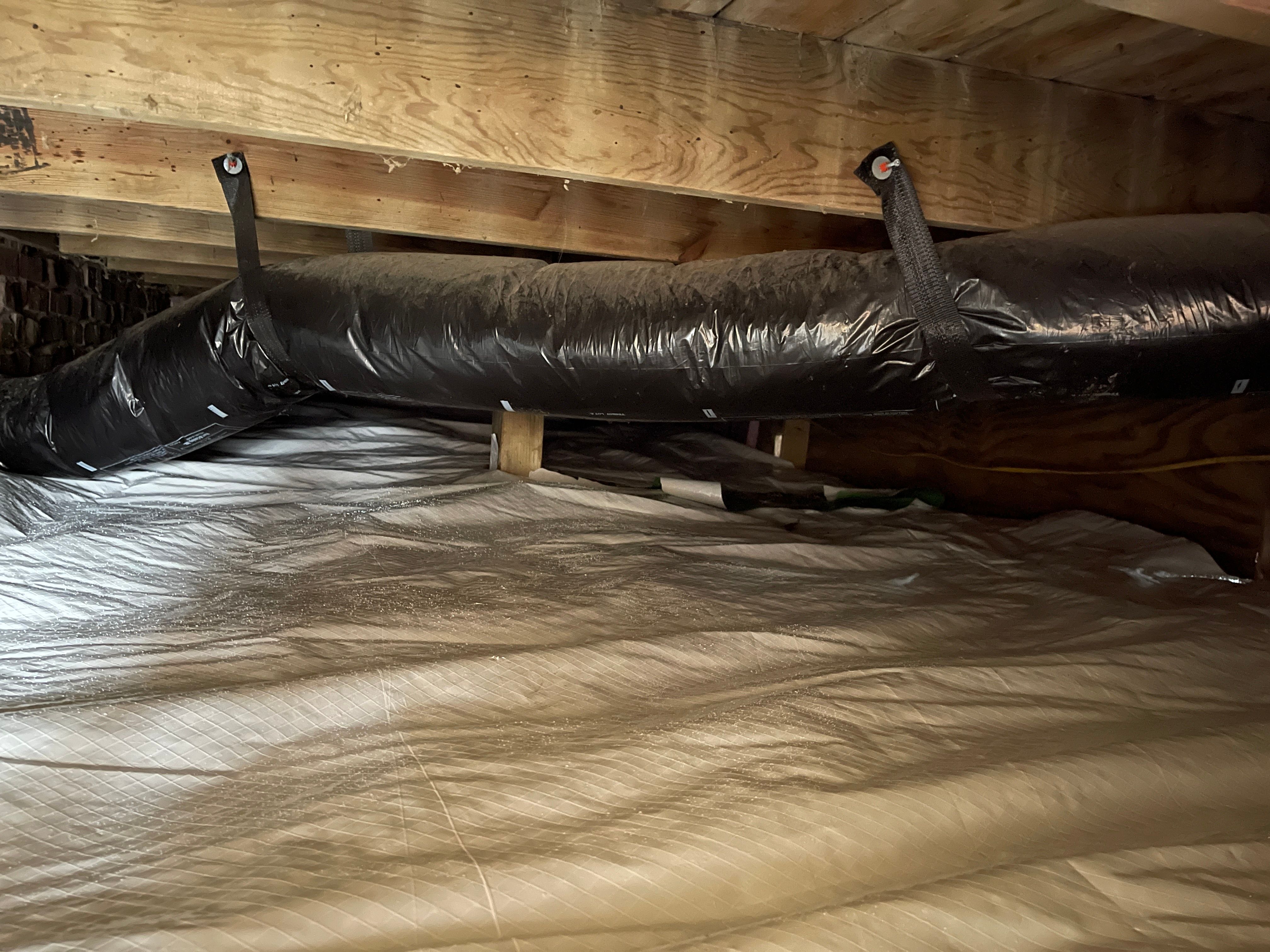  for All-In Pest Control & Home Solutions in Greene County, IN