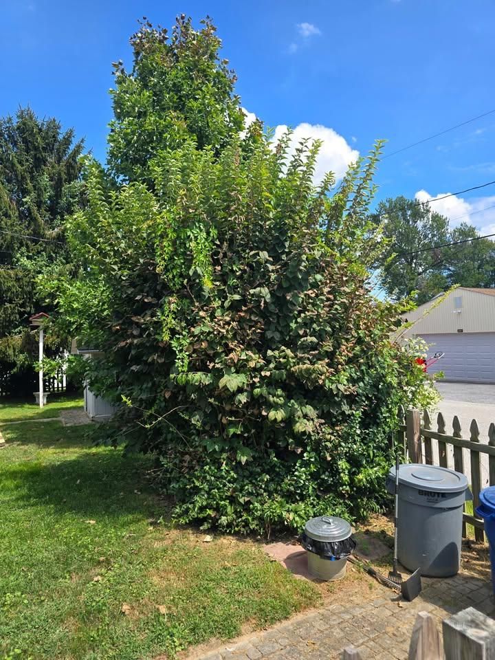  for CLH Services in White Marsh, MD