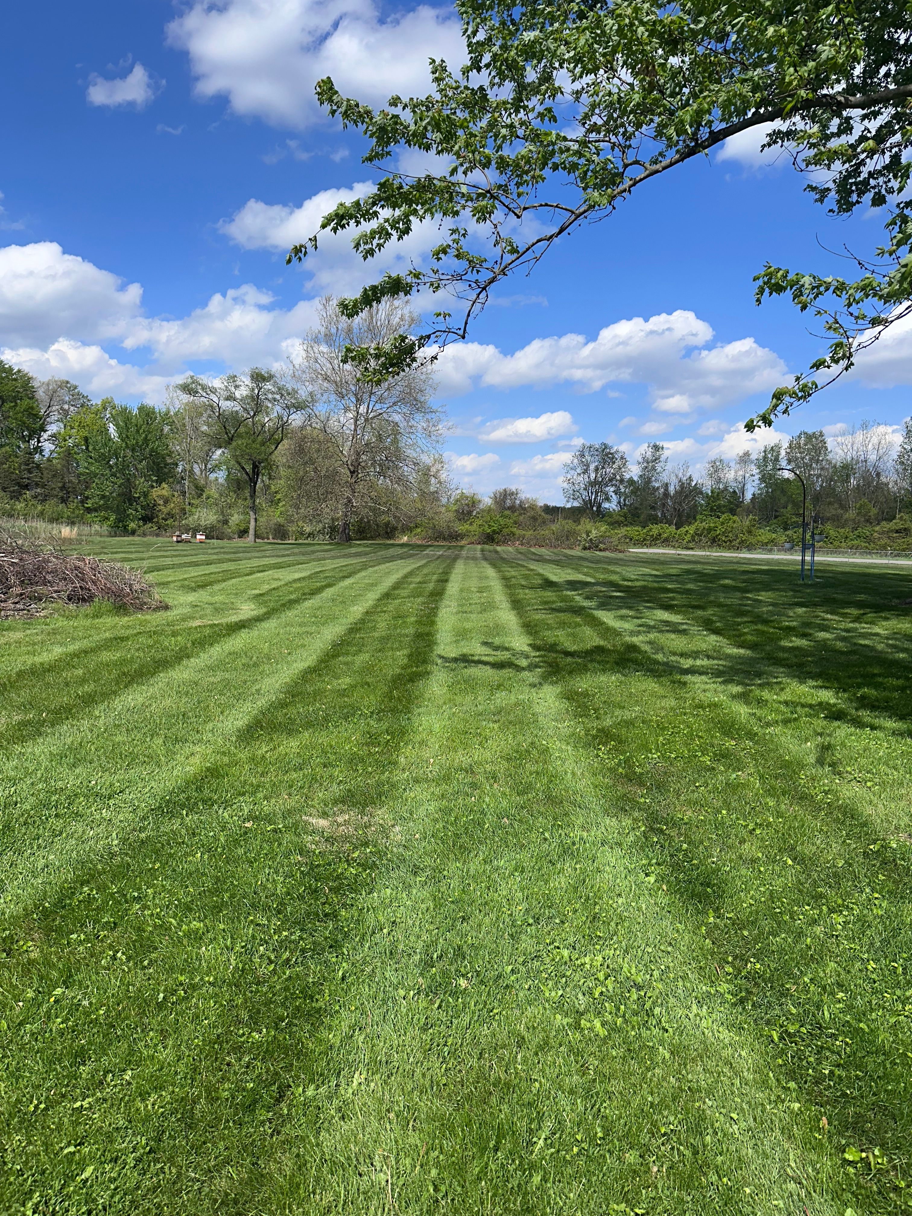  for Sargent's Lawn and Property Maintenance LLC in Lambertville, MI