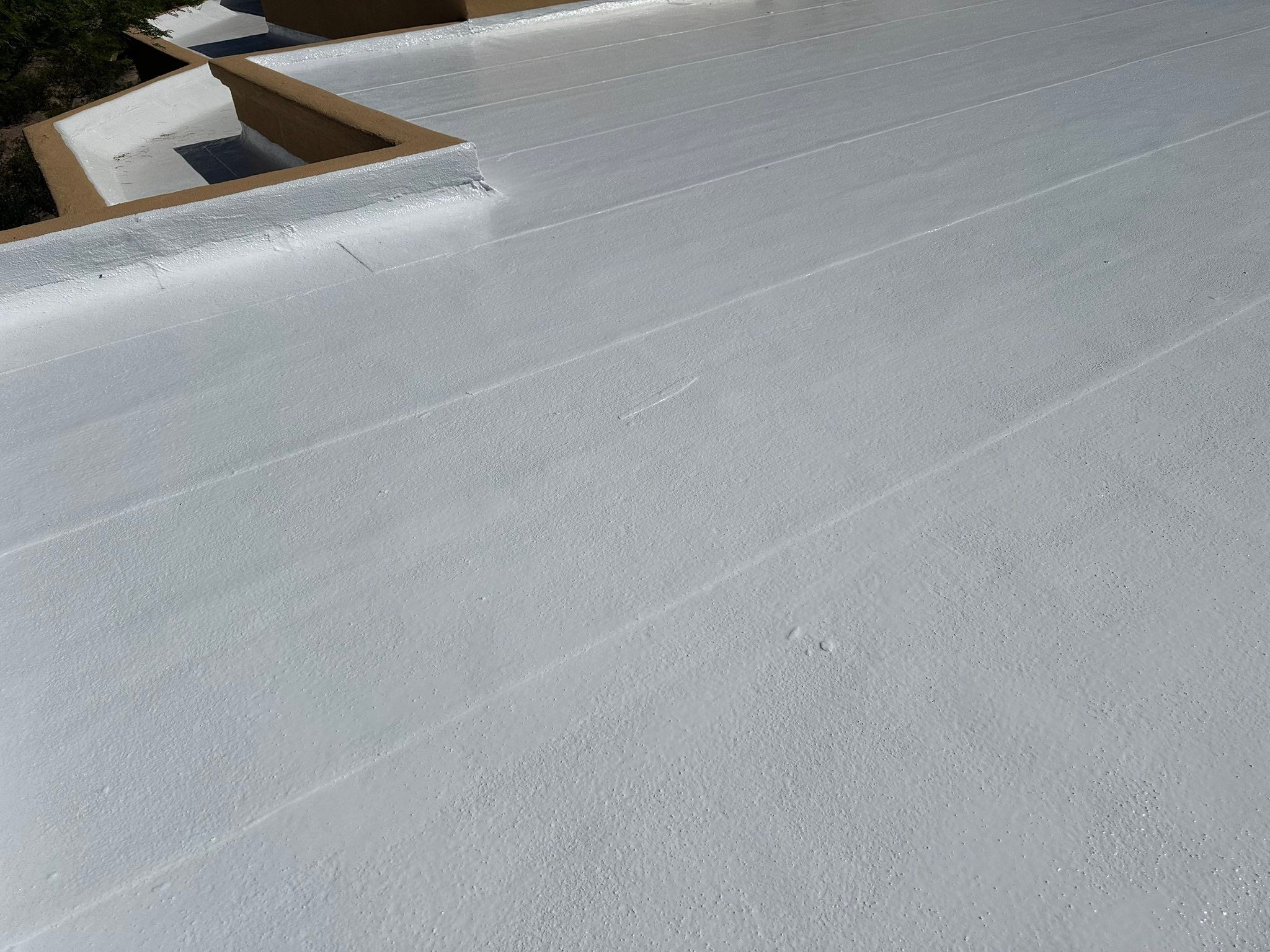  for Revived Painters LLC in Las Cruces, NM