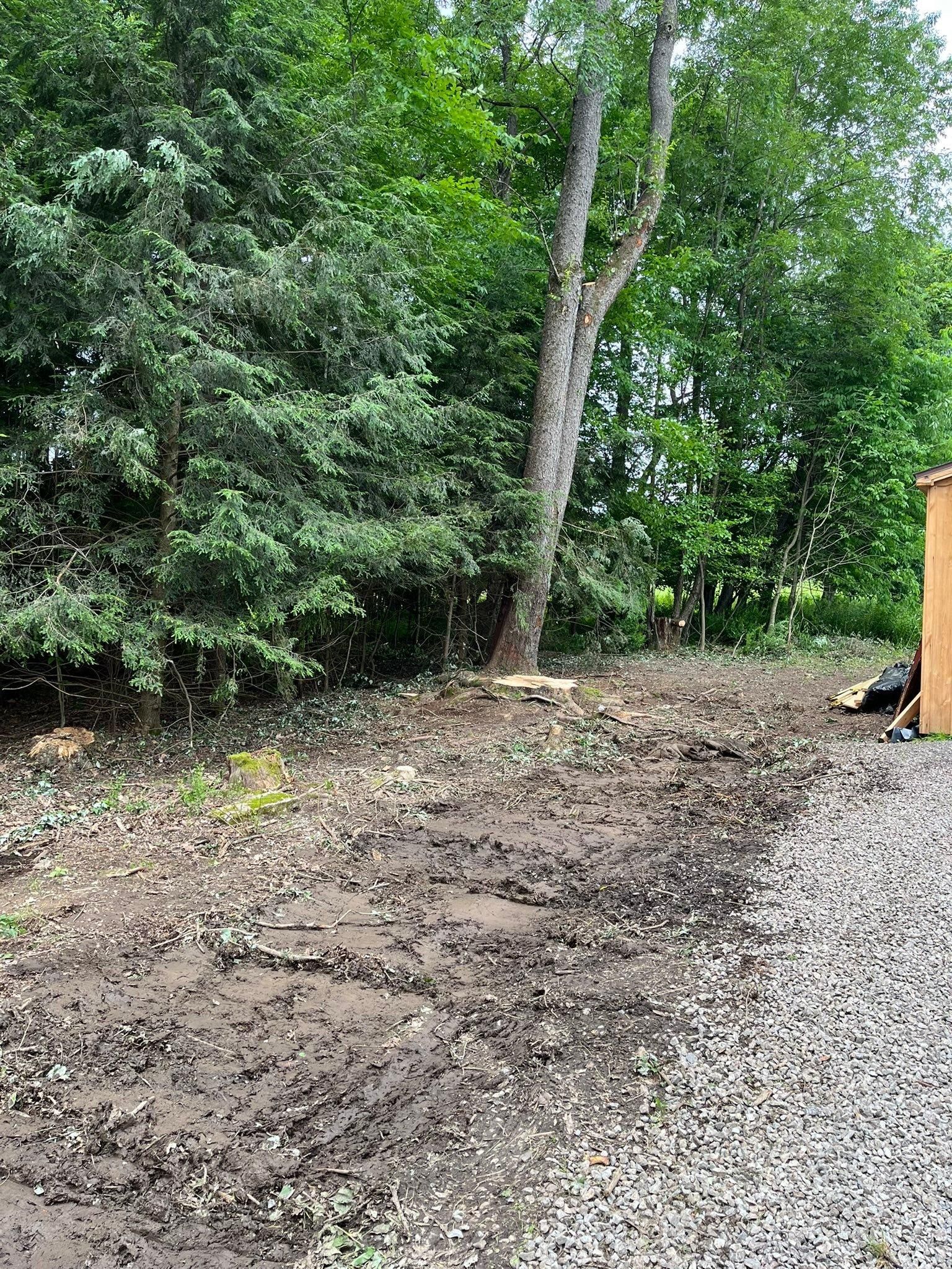  for J&E Tree & Excavation Services in Sandy, PA