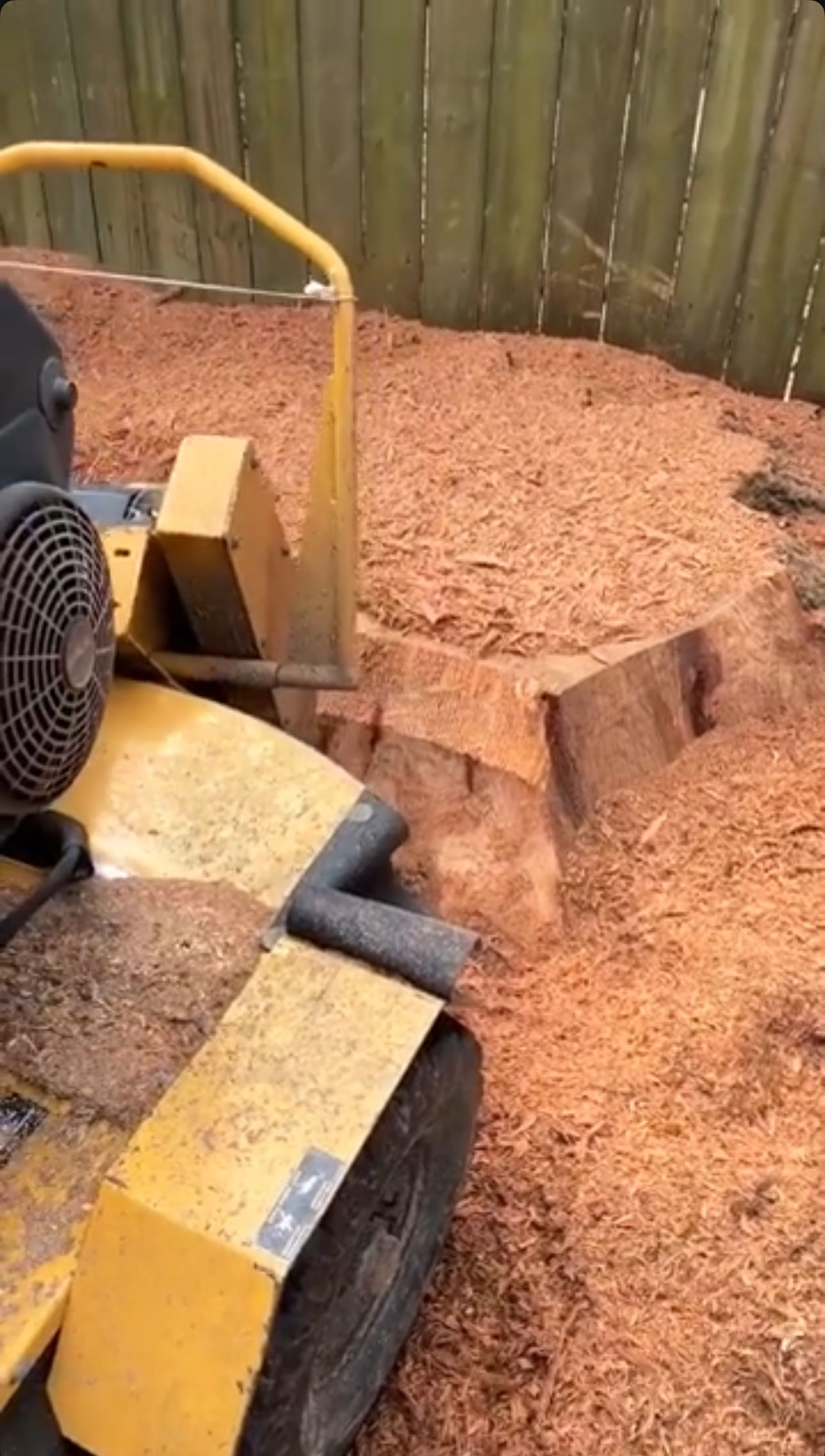  for C&B Ramos Tree Service in Houston, TX