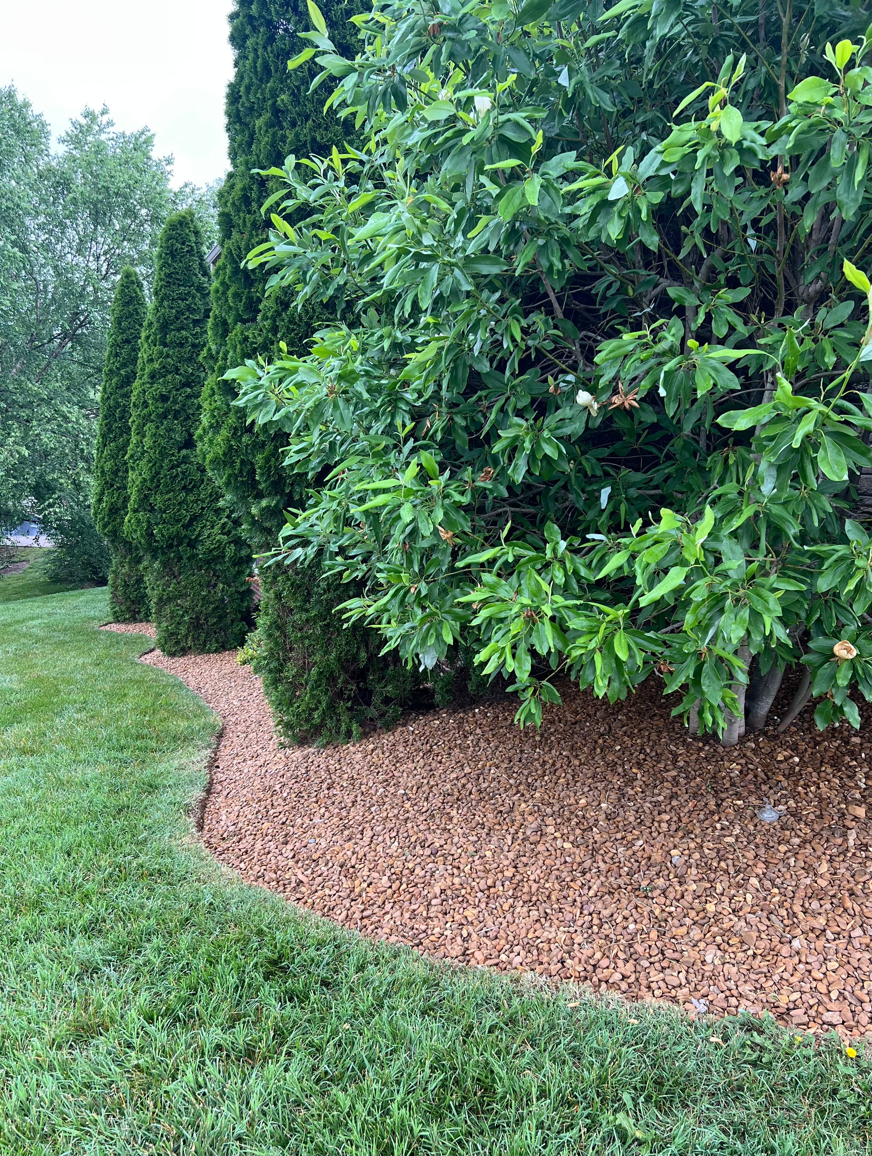  for Full Service Landscaping in Louisville, KY